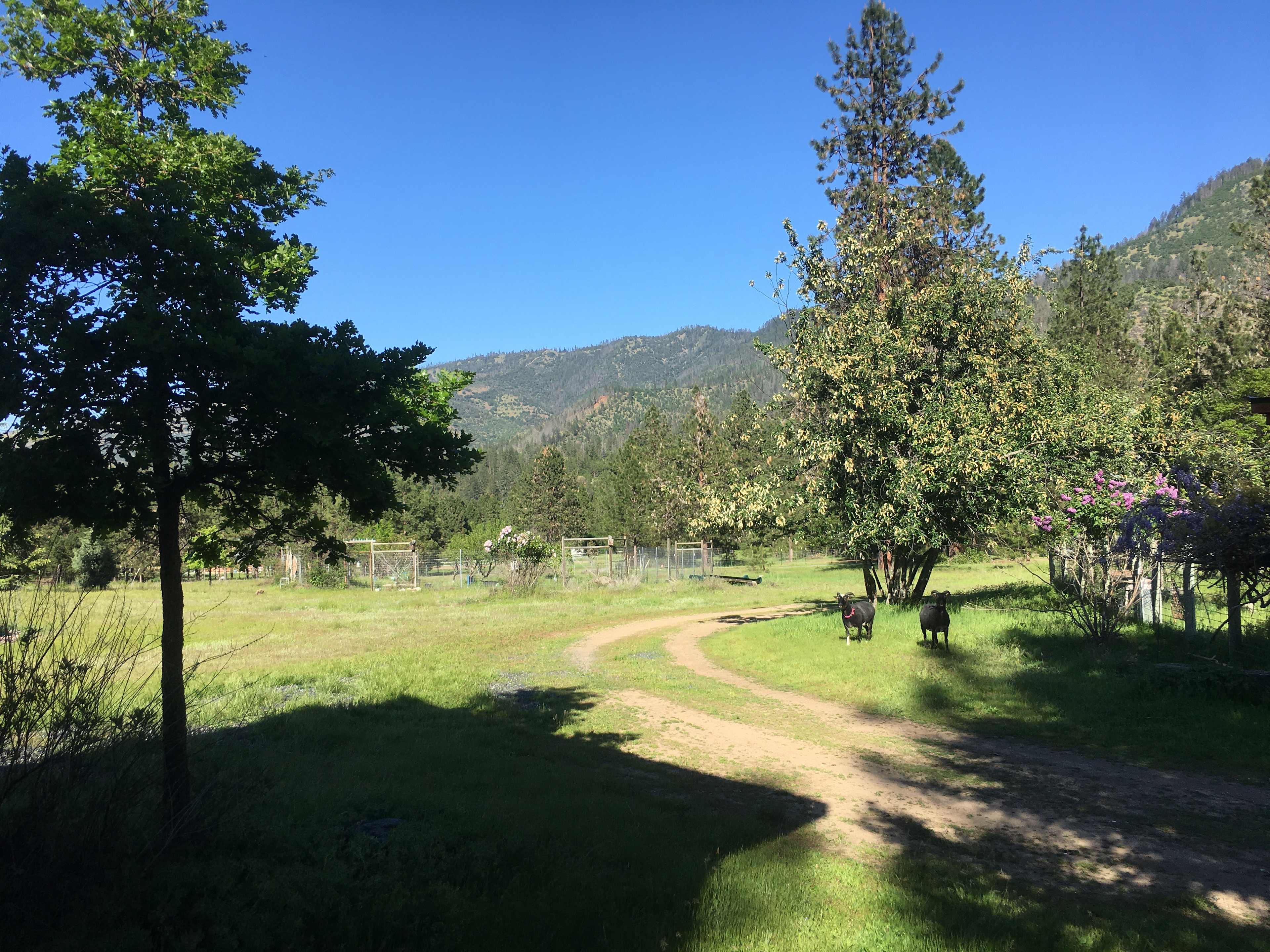 Applegate Hillside