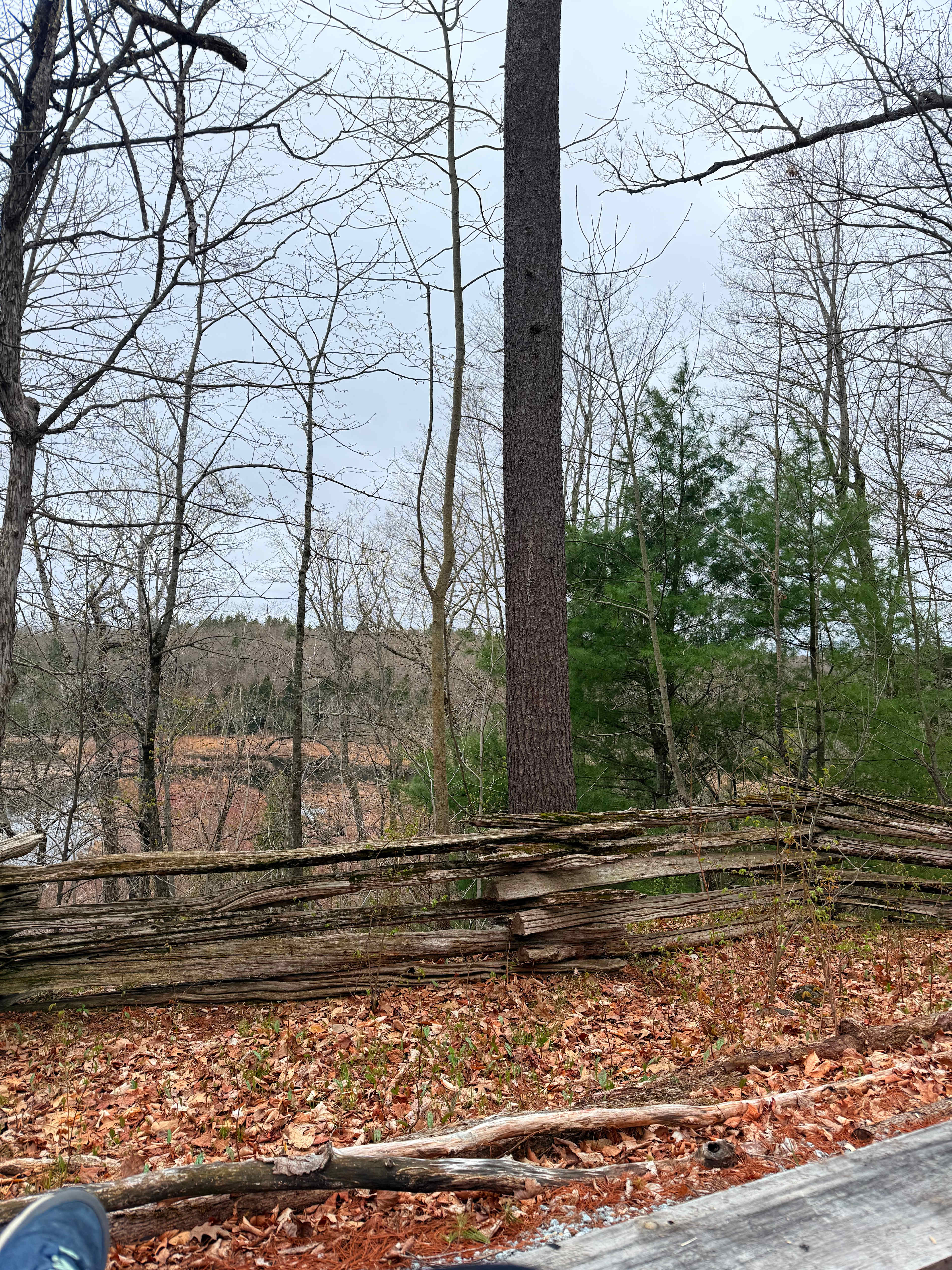 Fagan Lake Heights