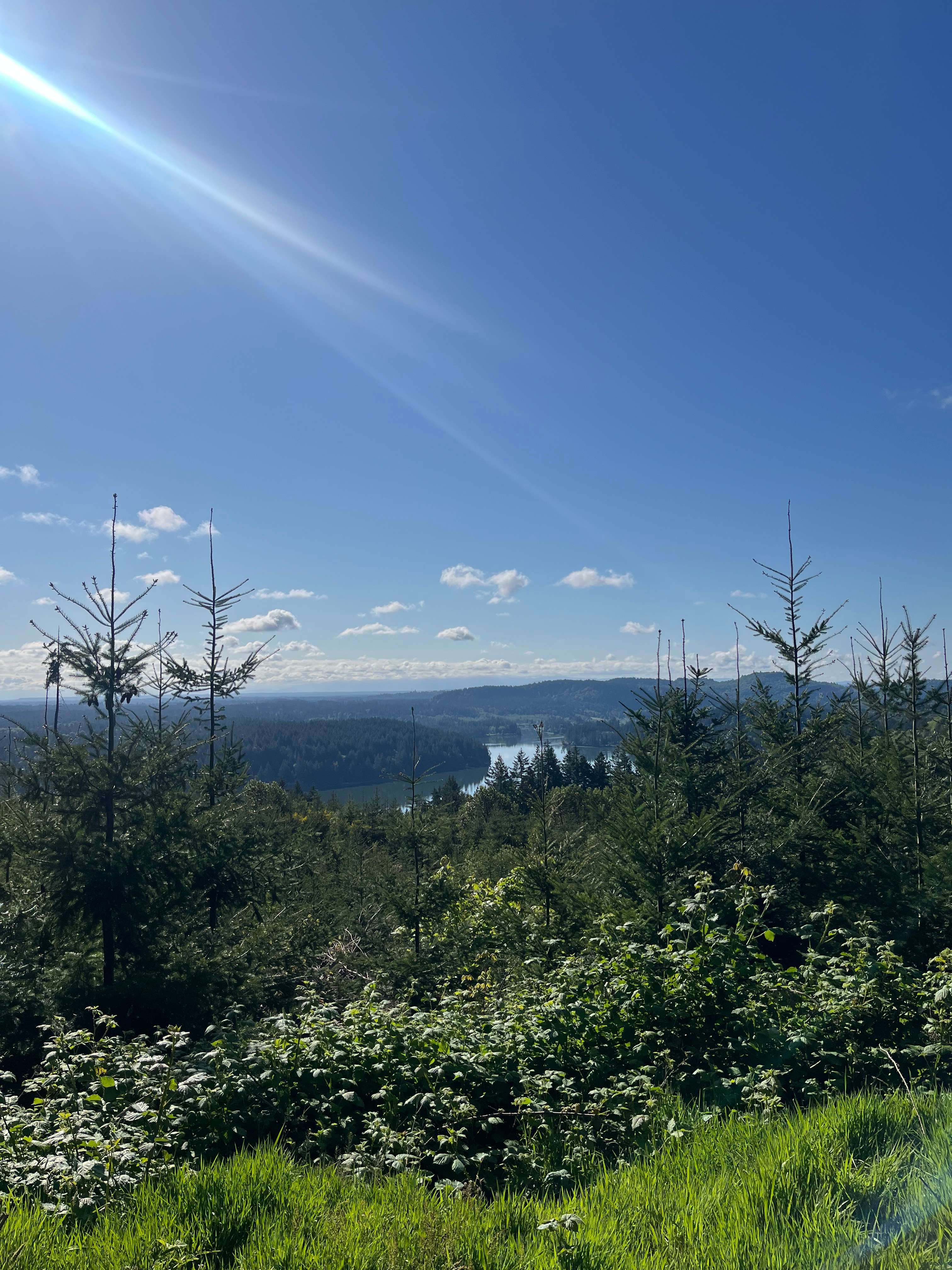 Hairy Eagle Lookout 🦅