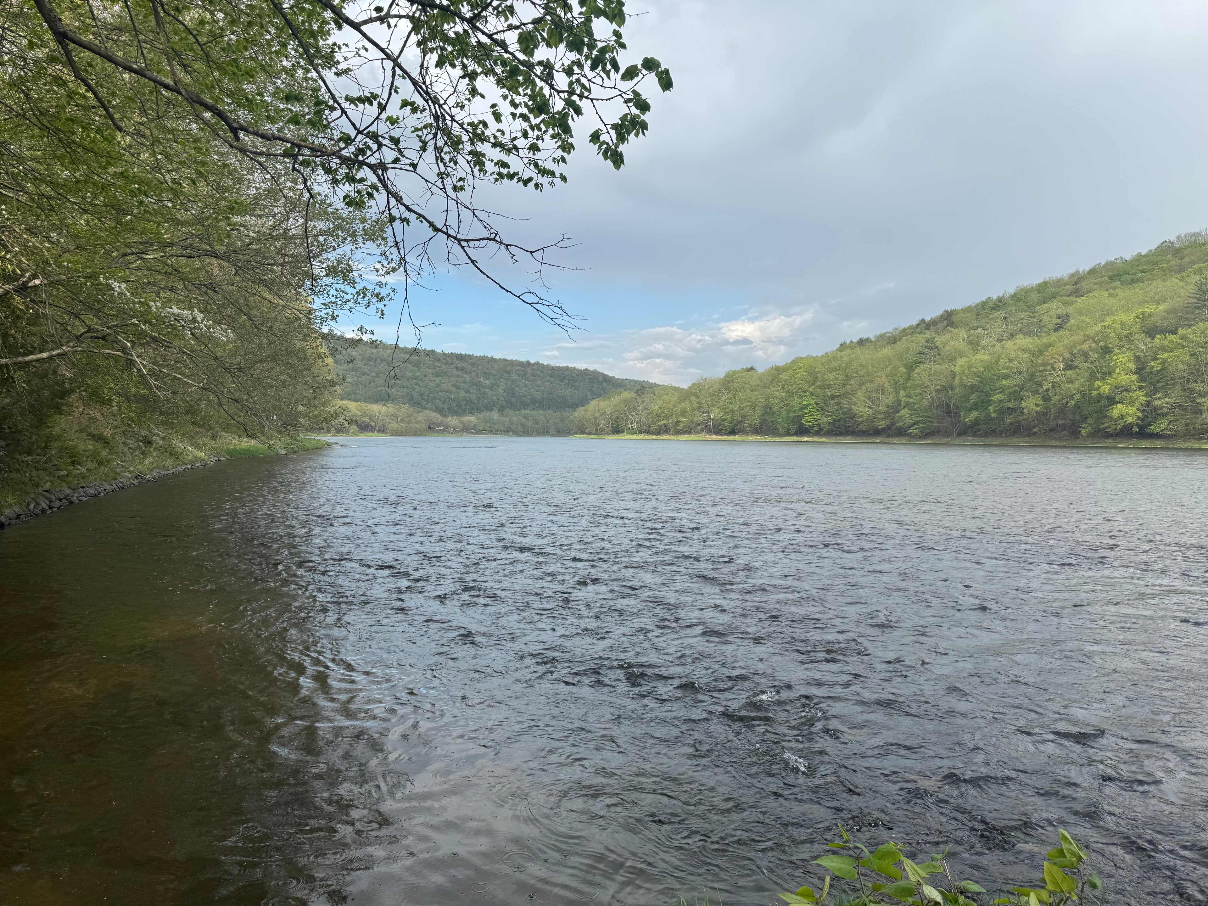 The River's Edge
