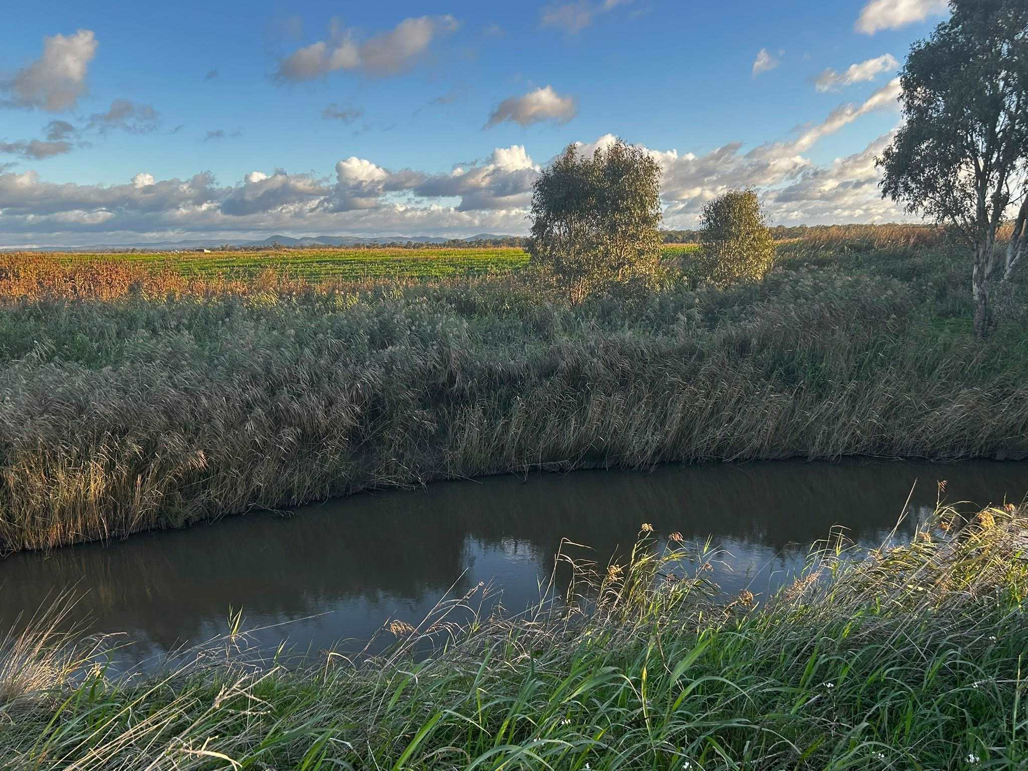 Warrego Farm