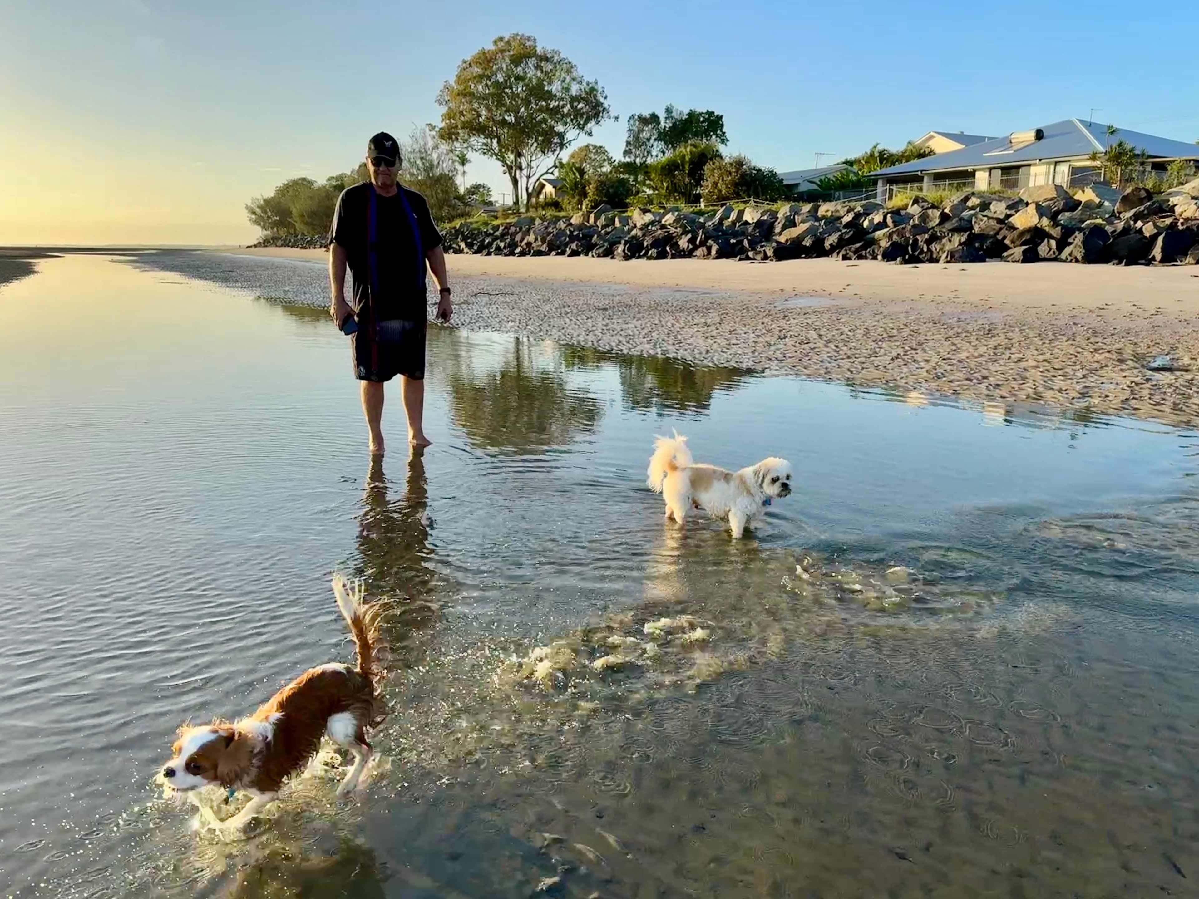 Leash free beach 3pm-8am a short walk south past the cafes over the bridge and down to the beach/sand flats.
