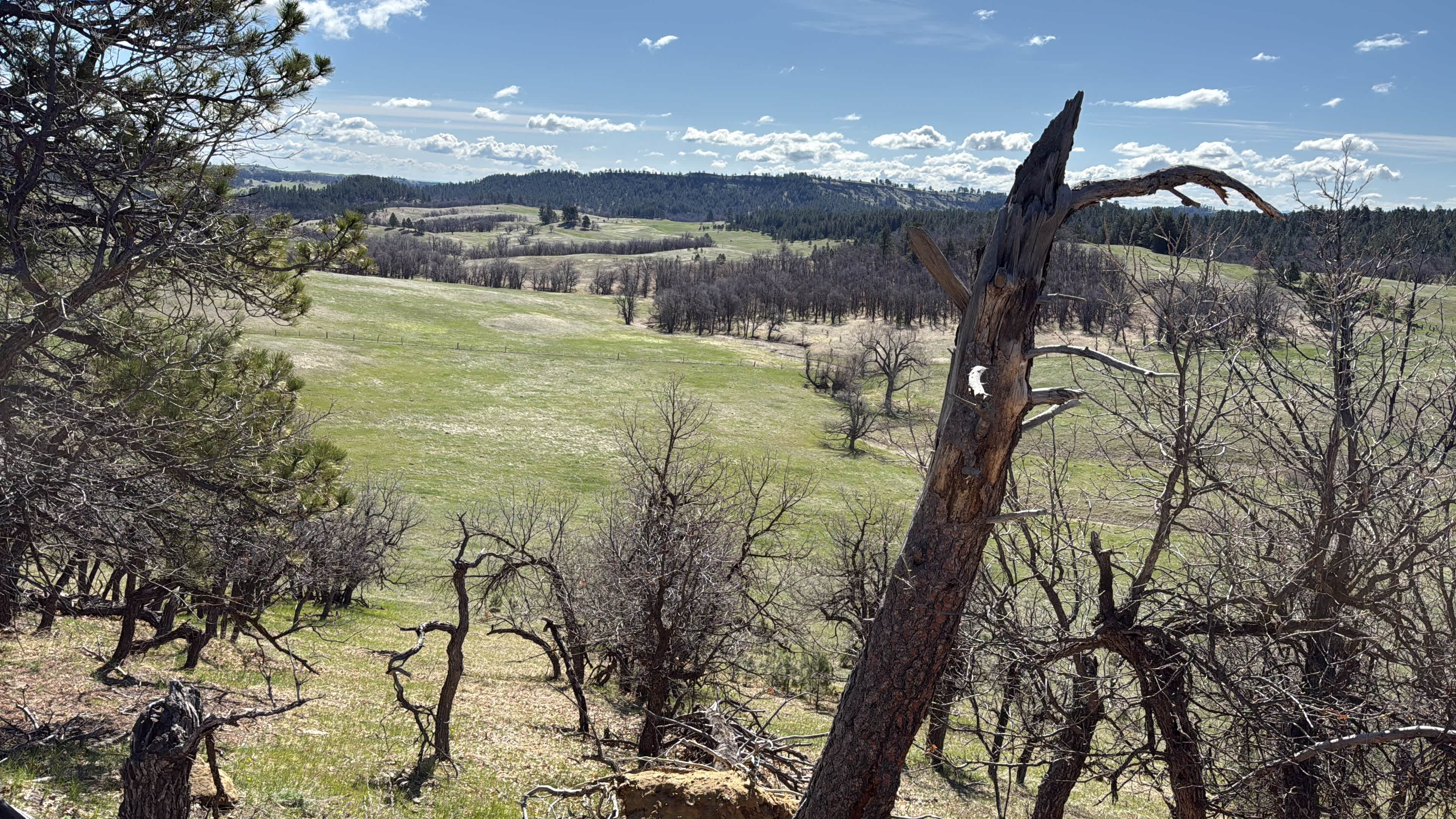 Hidden Acres