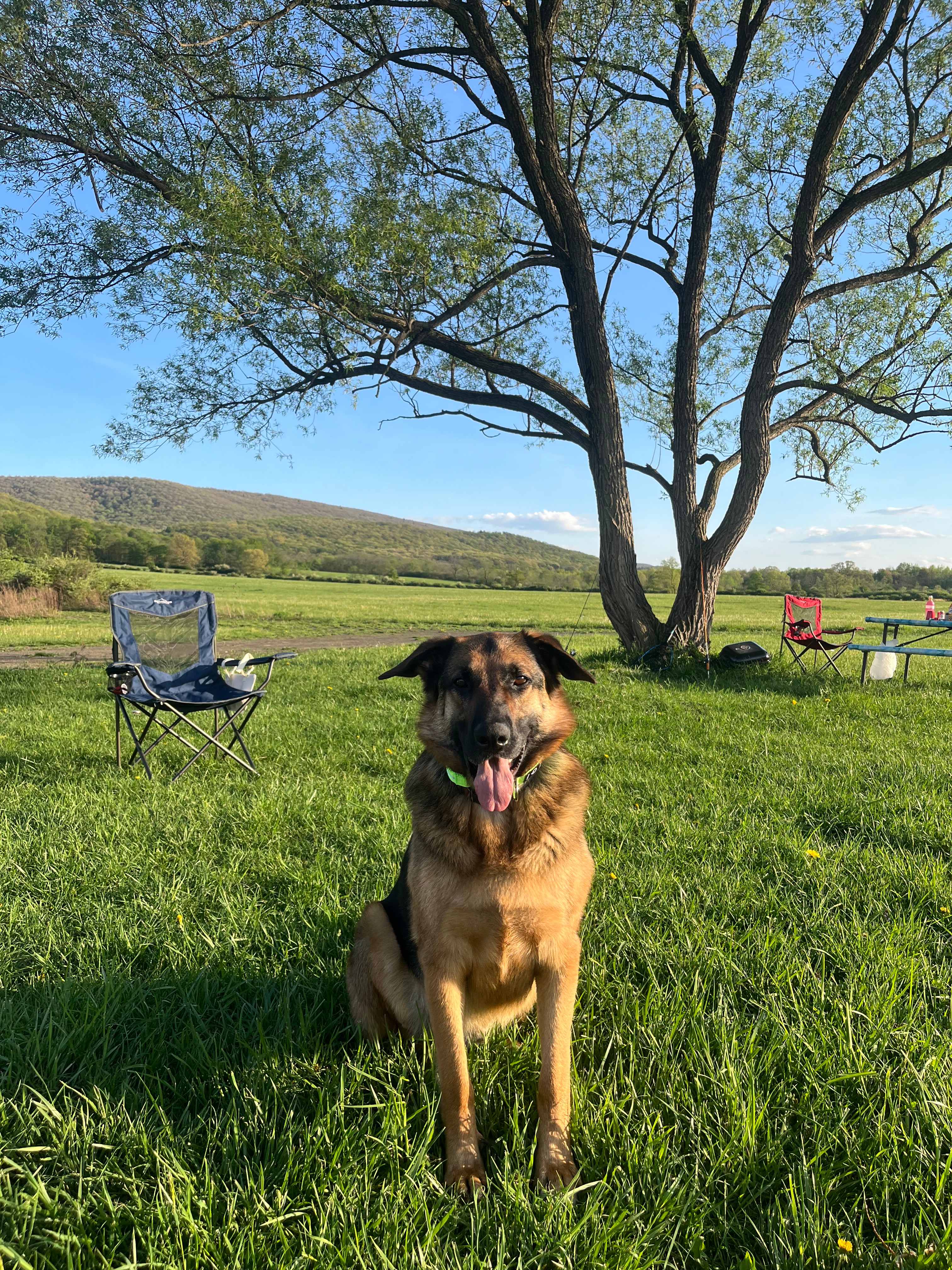 Paradise By The Pond