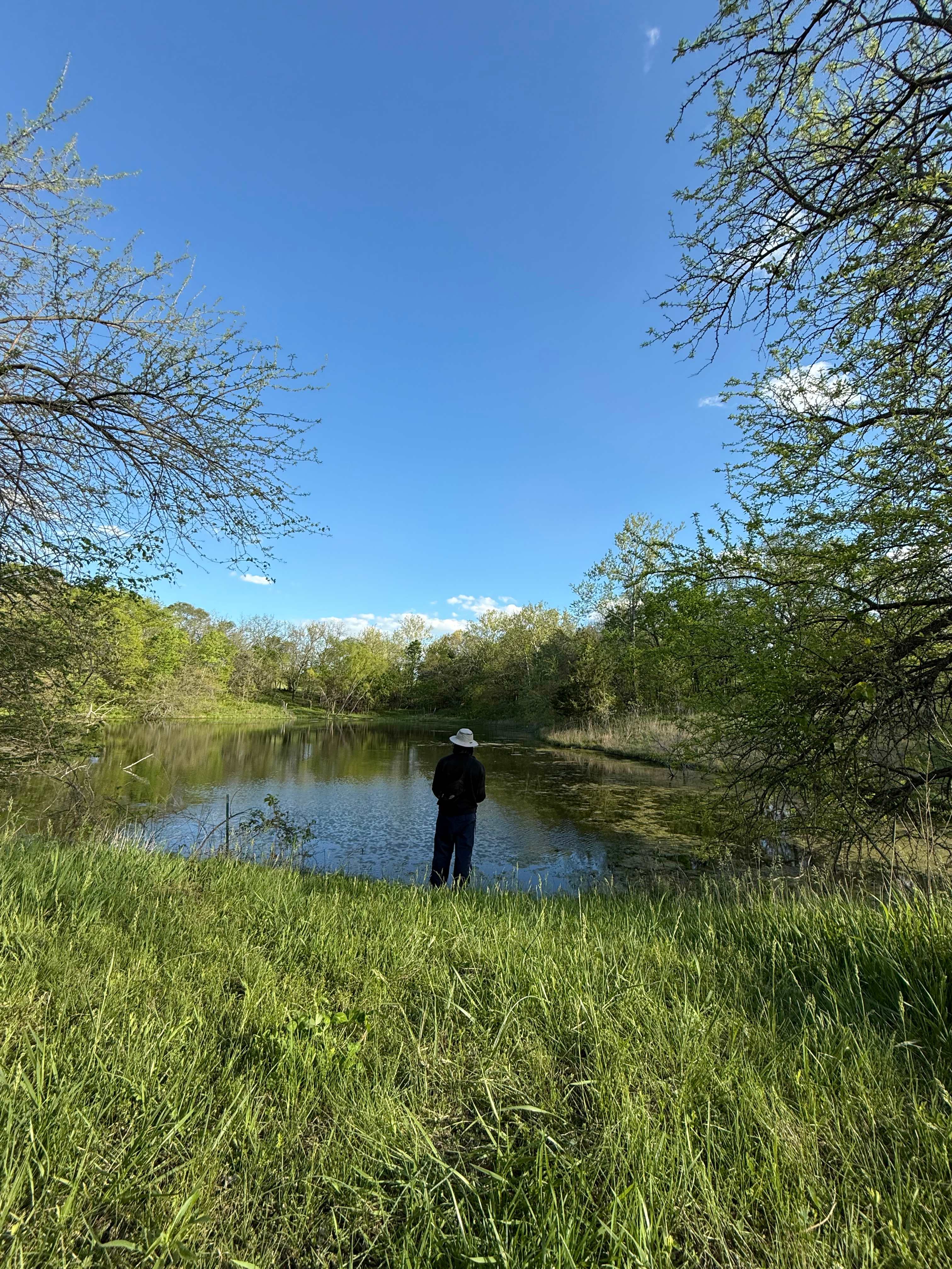 Pond