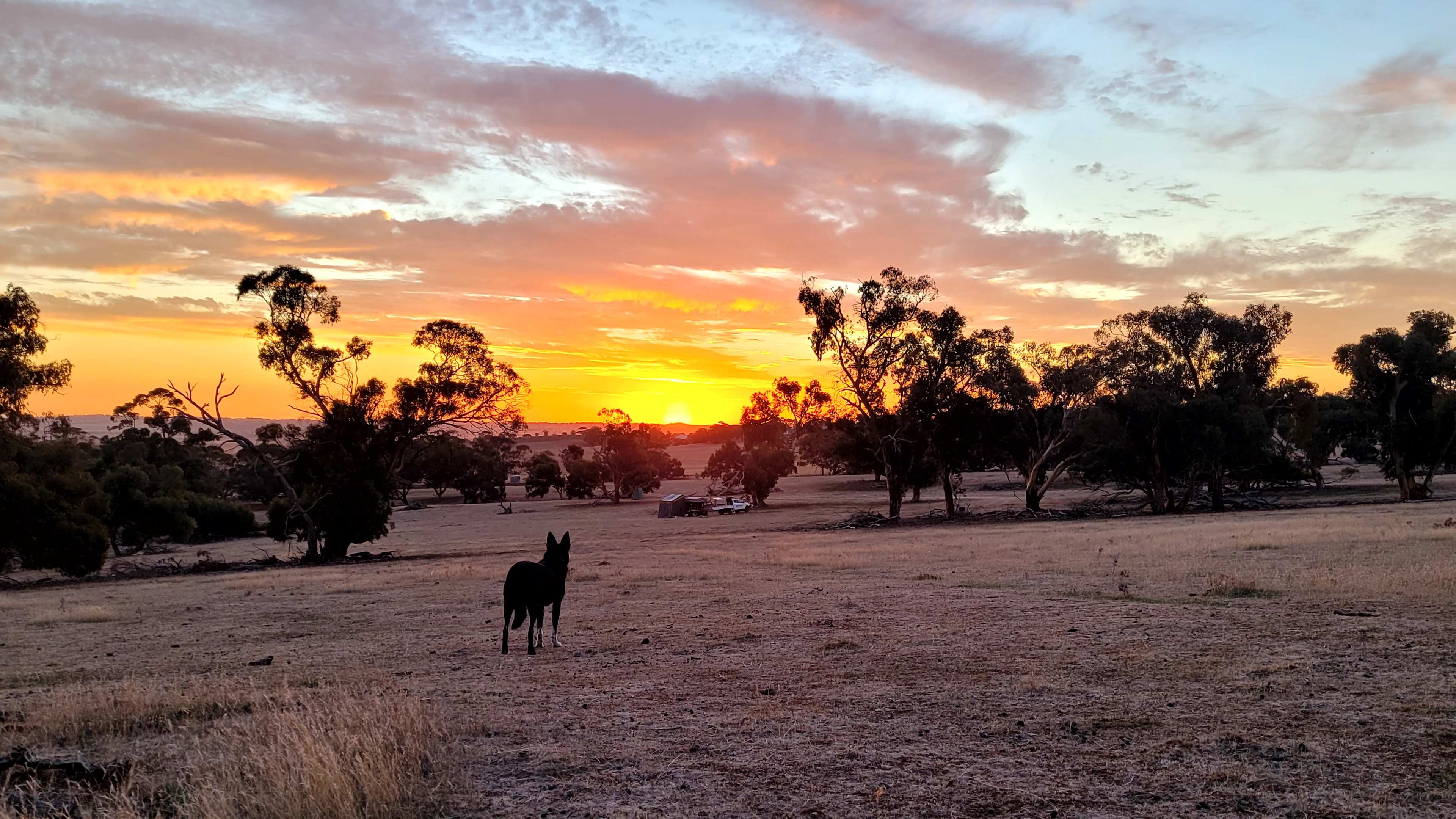 Edgehill Farm Stays Riverton