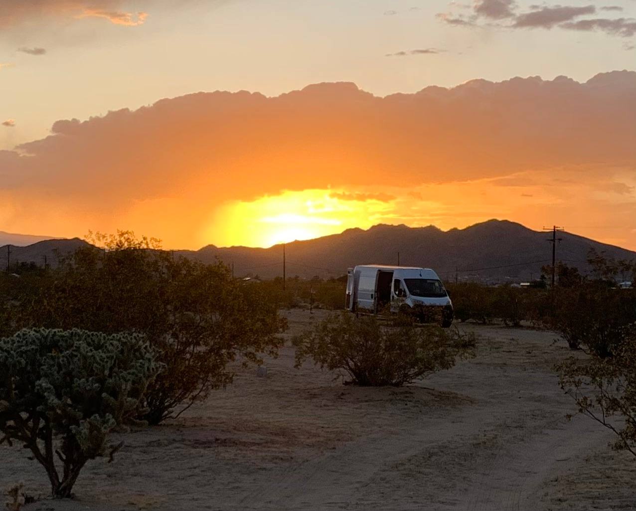 Roadrunner retreat