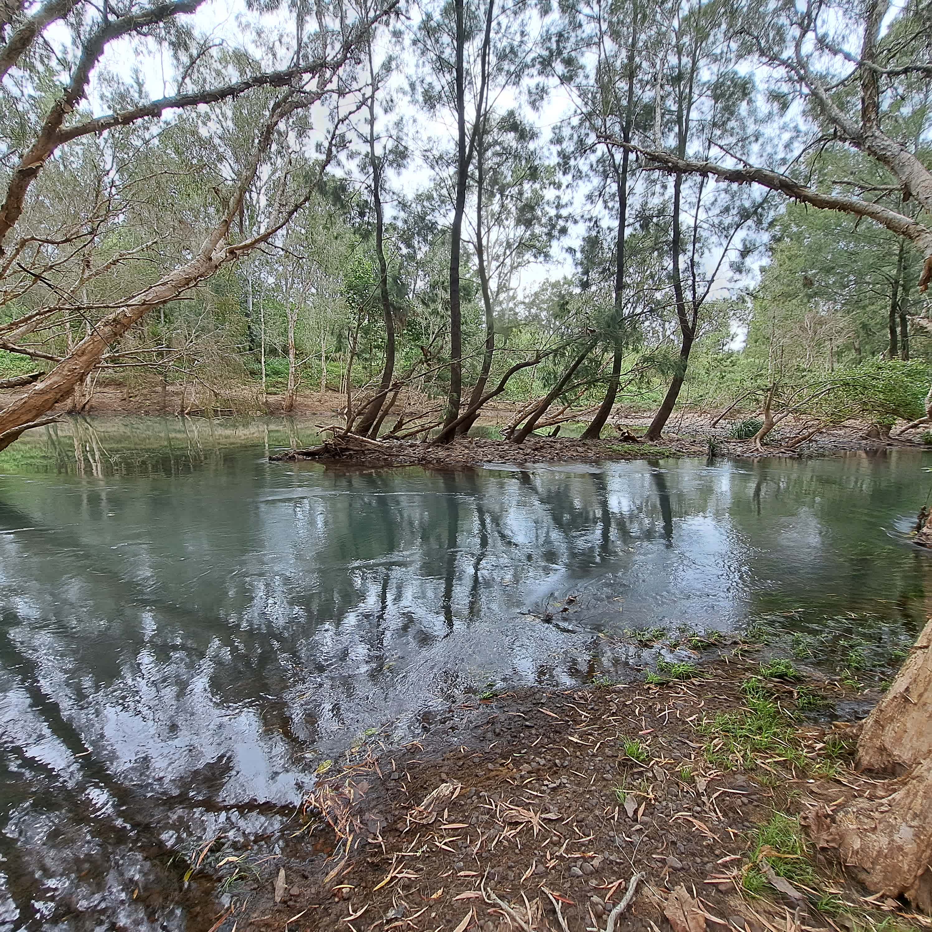 Beautiful peaceful creek for a dip