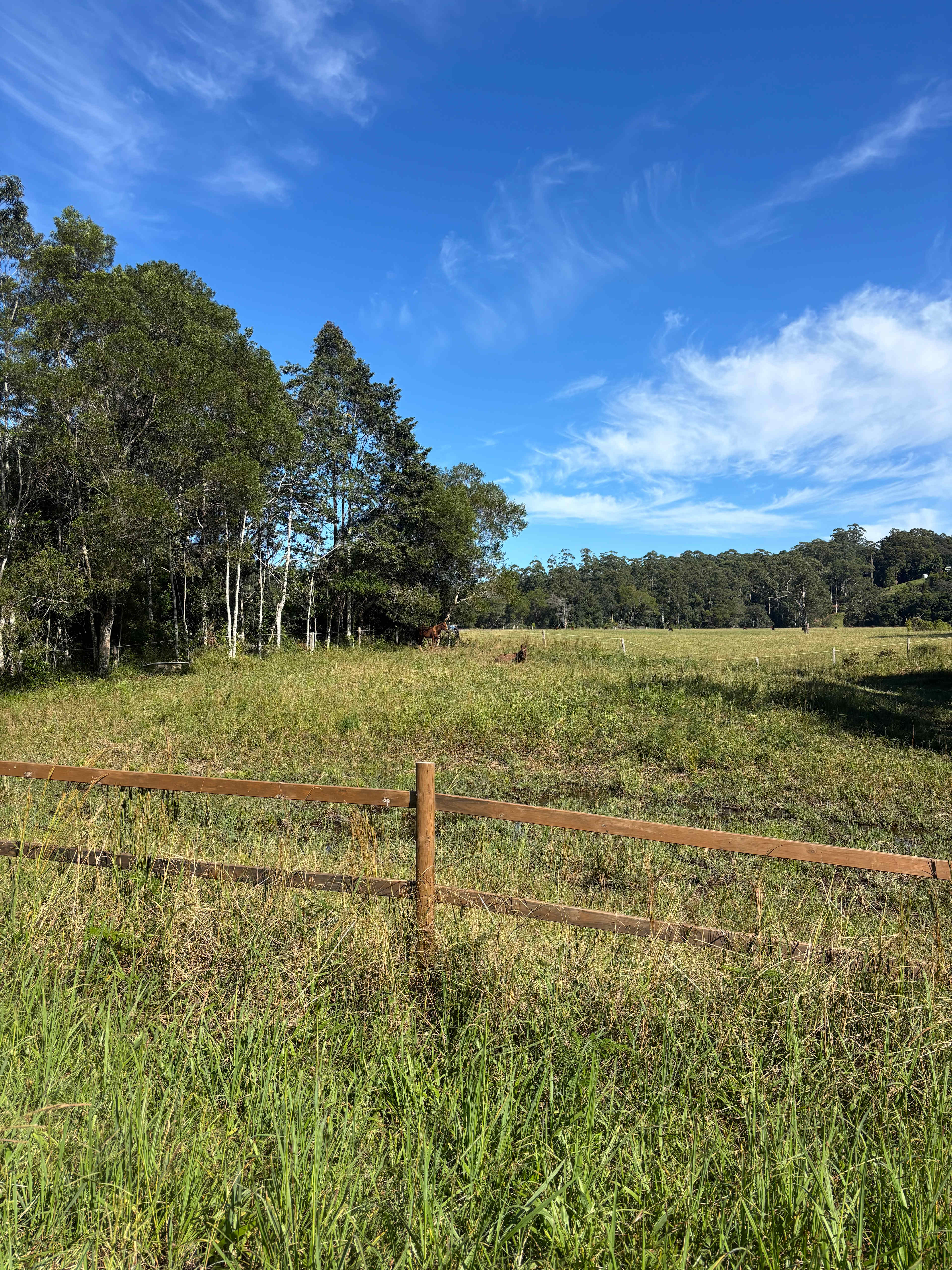 Little Pine Creek Farm Valery