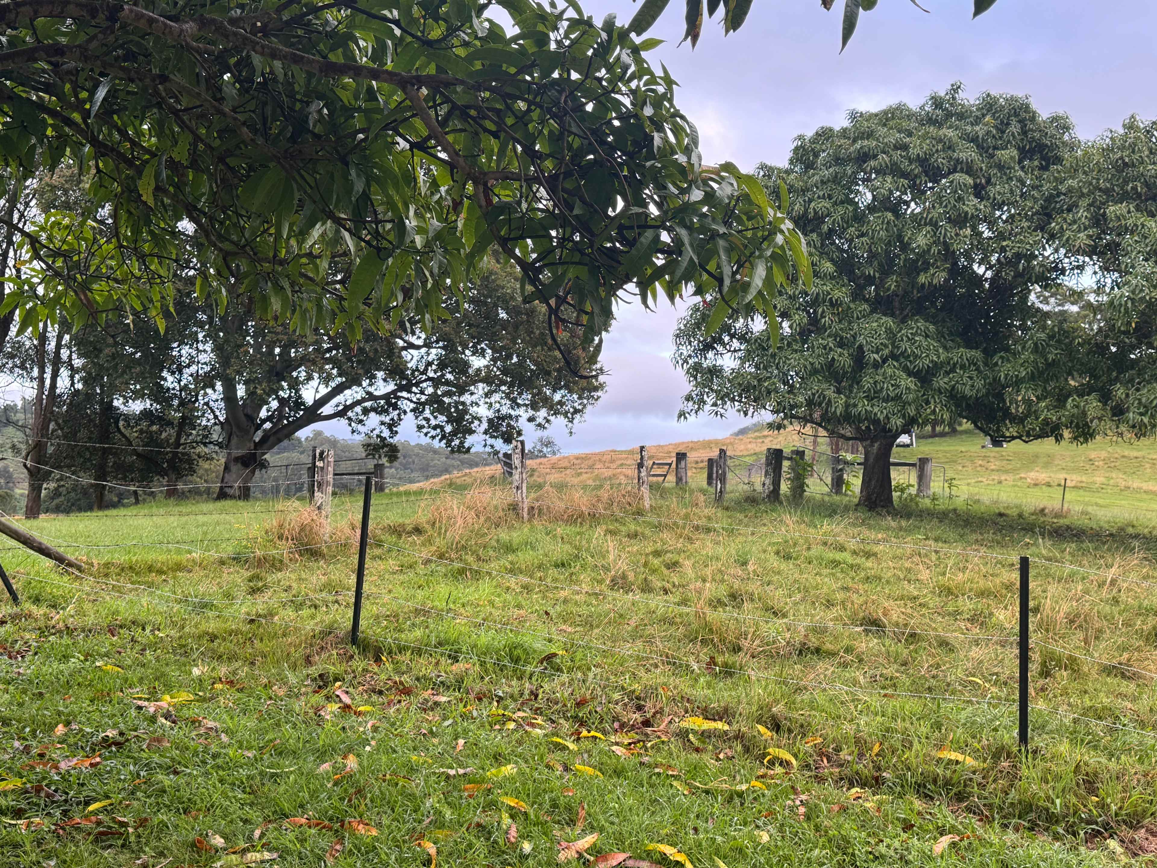 Oakey Ridge
