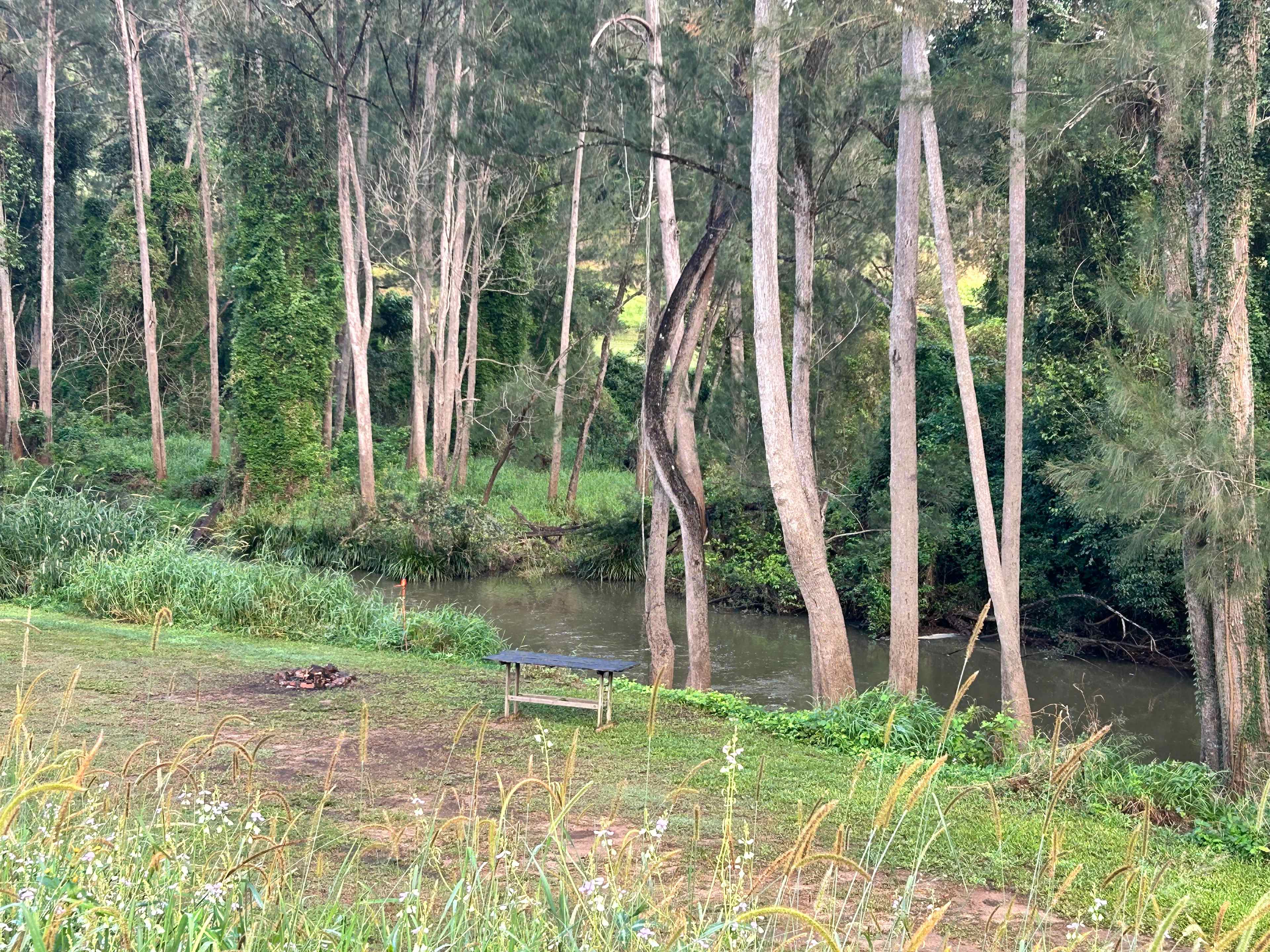 Windmill Creek Camp