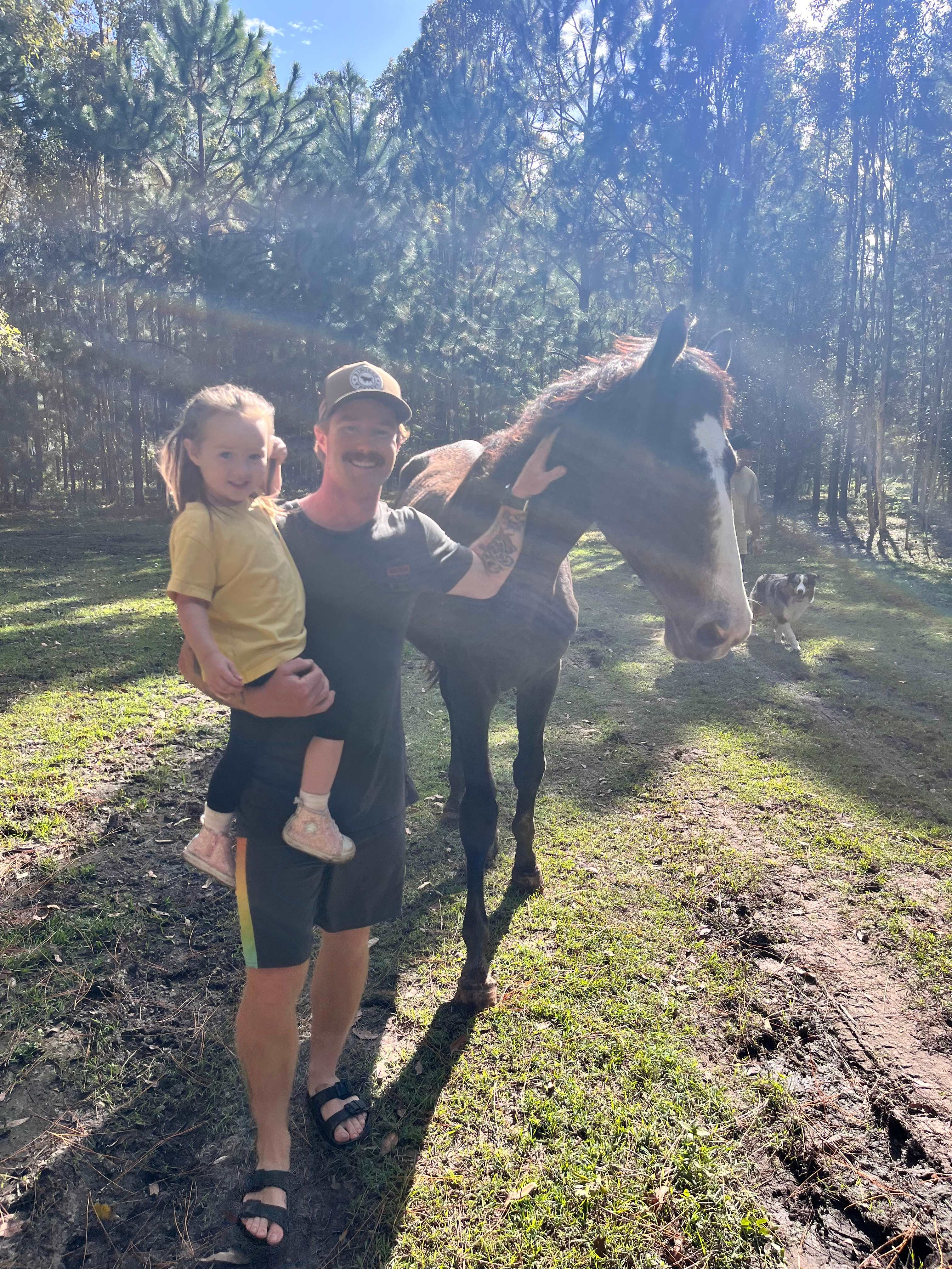Warrego Warmblood Stud