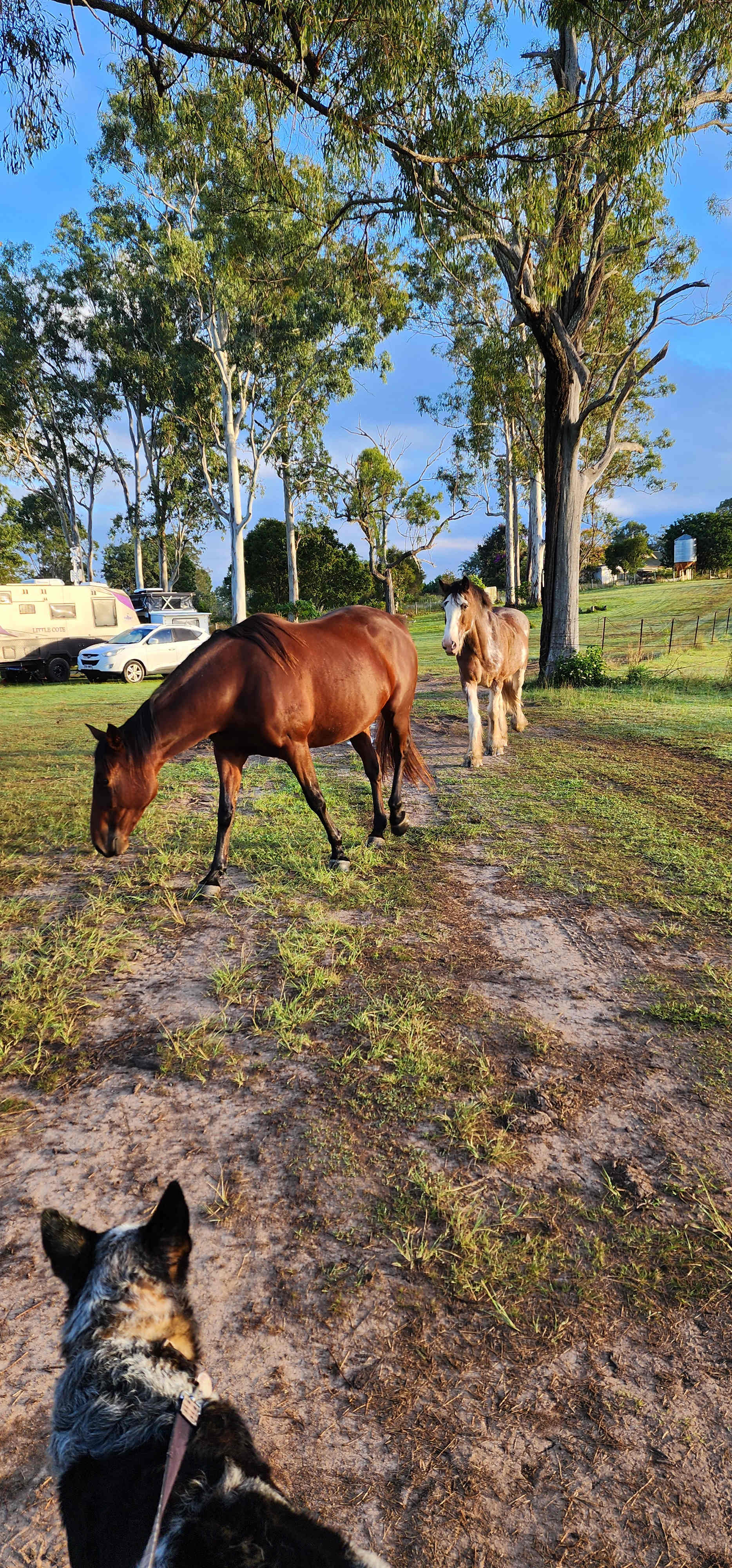 Jack's Place Toogoolawah