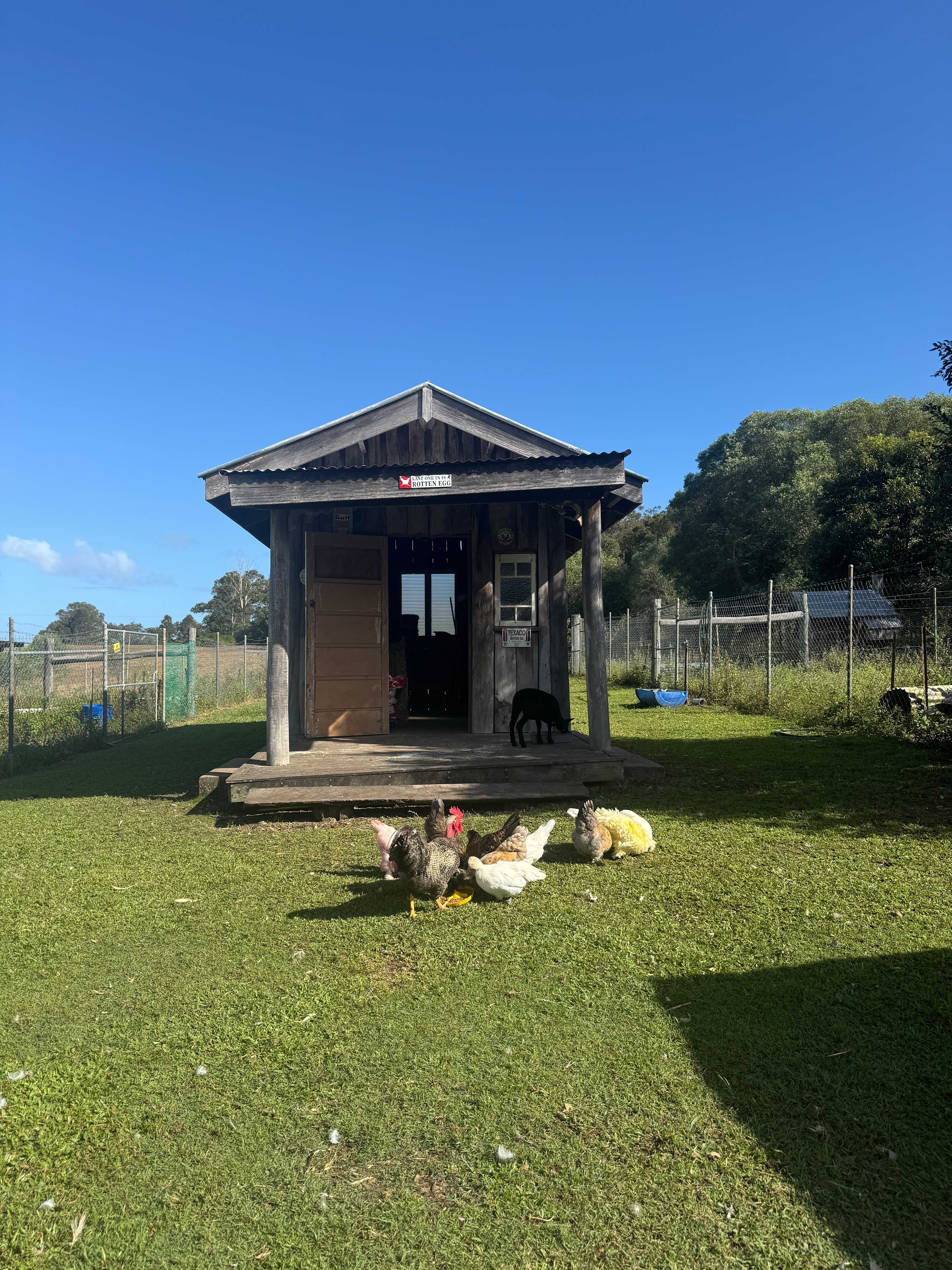 River Run Farm Camping