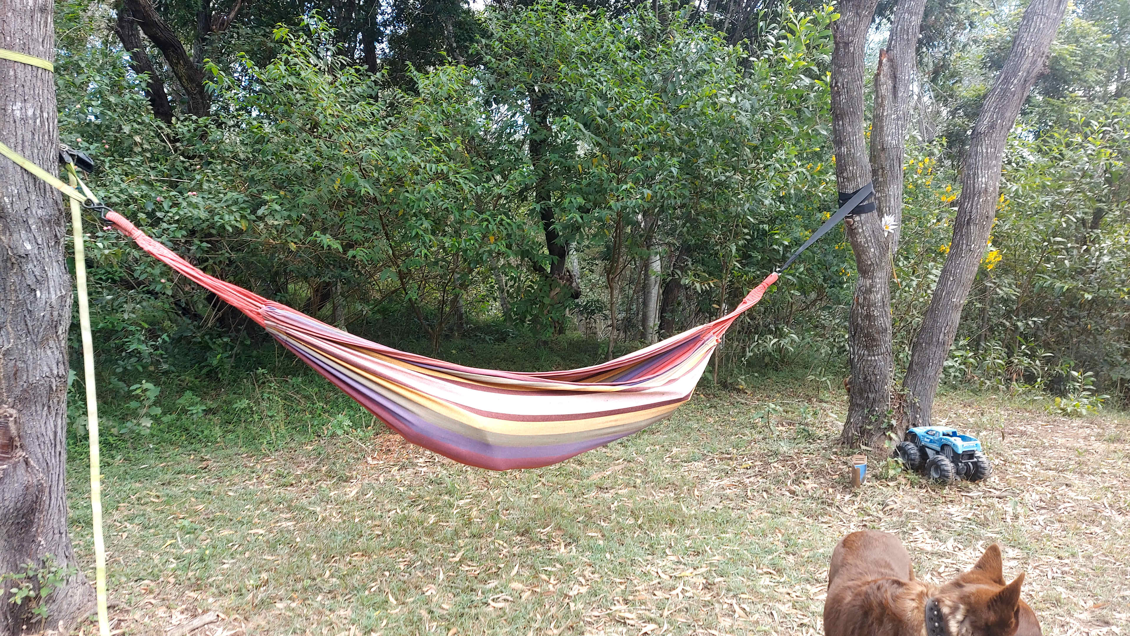Even room for the hammock 