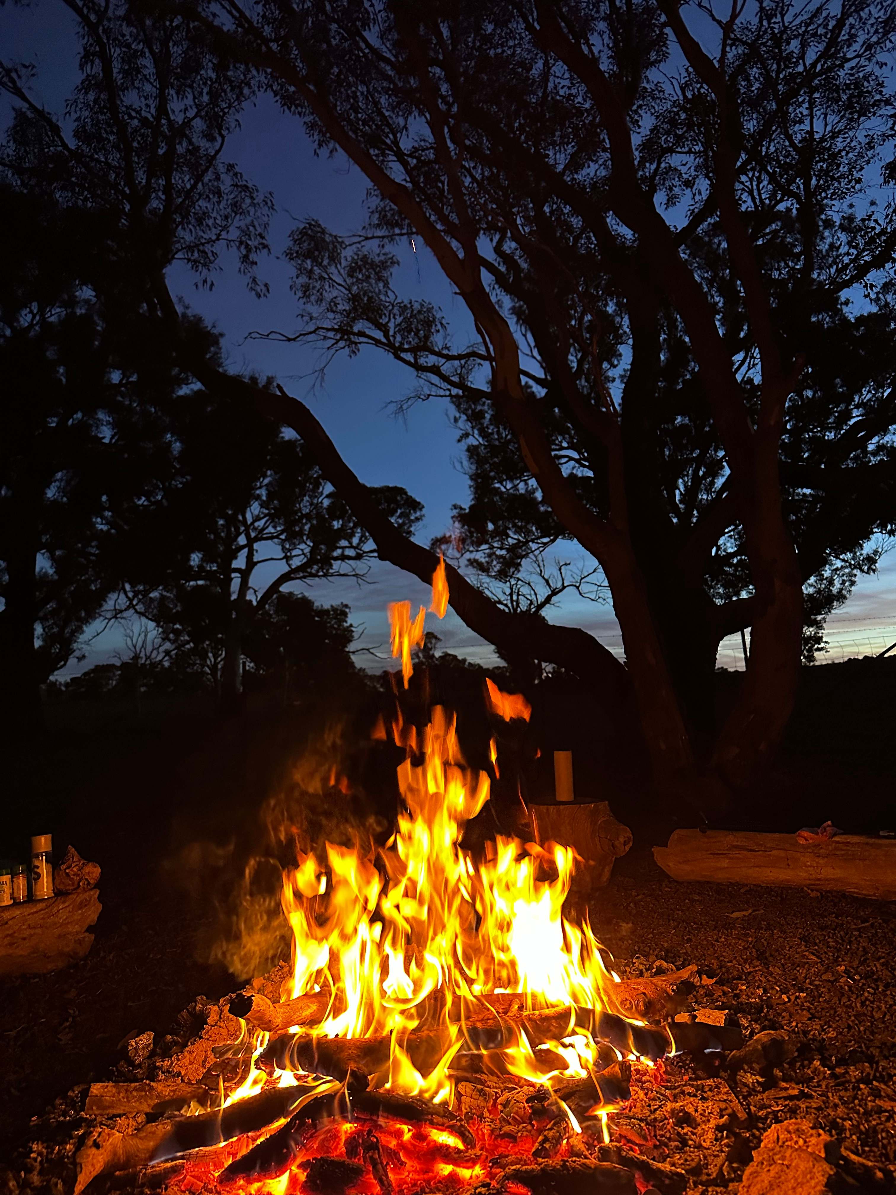 Coots Creek Campground