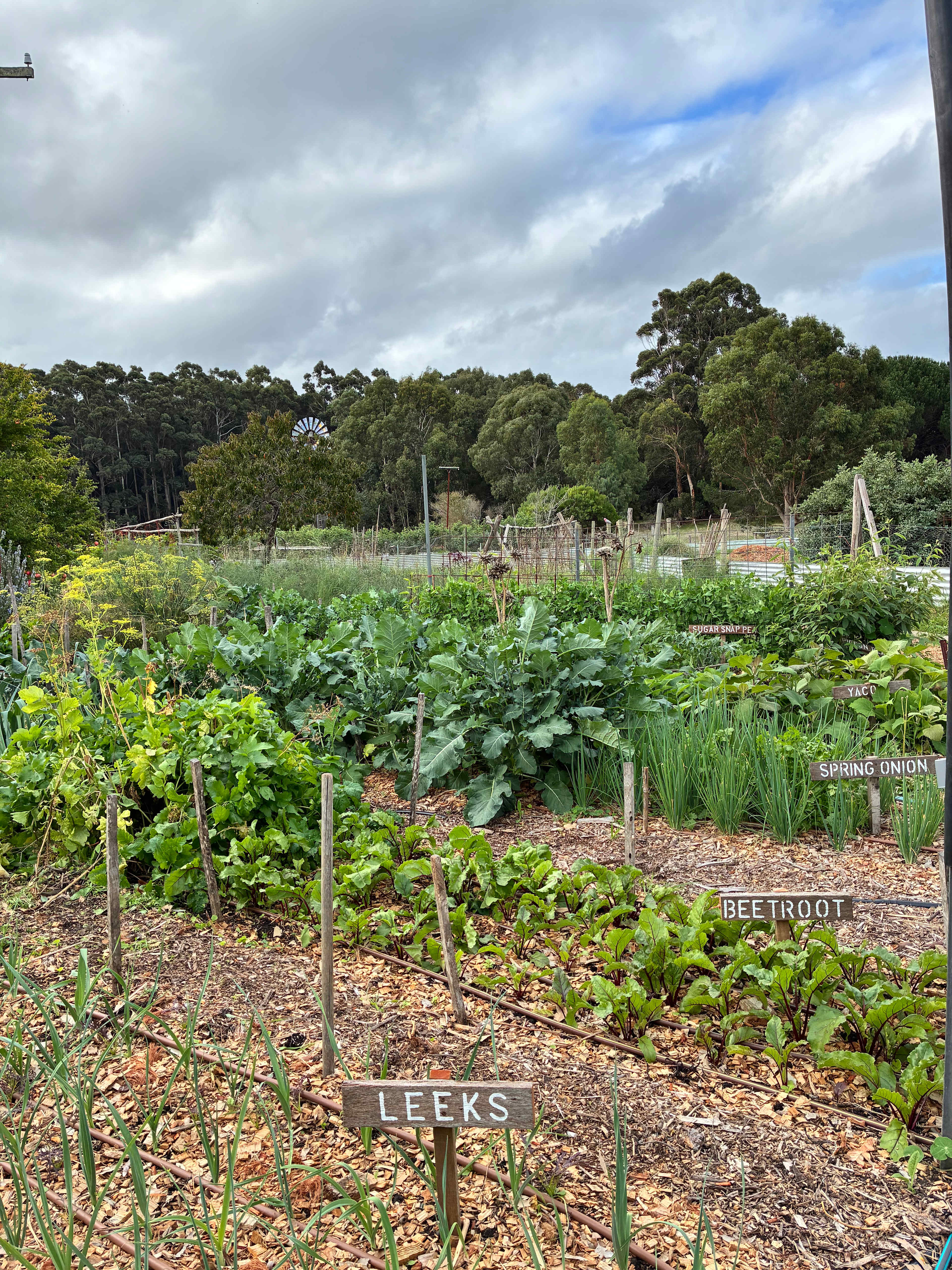 Fair Harvest Retreat Margaret River