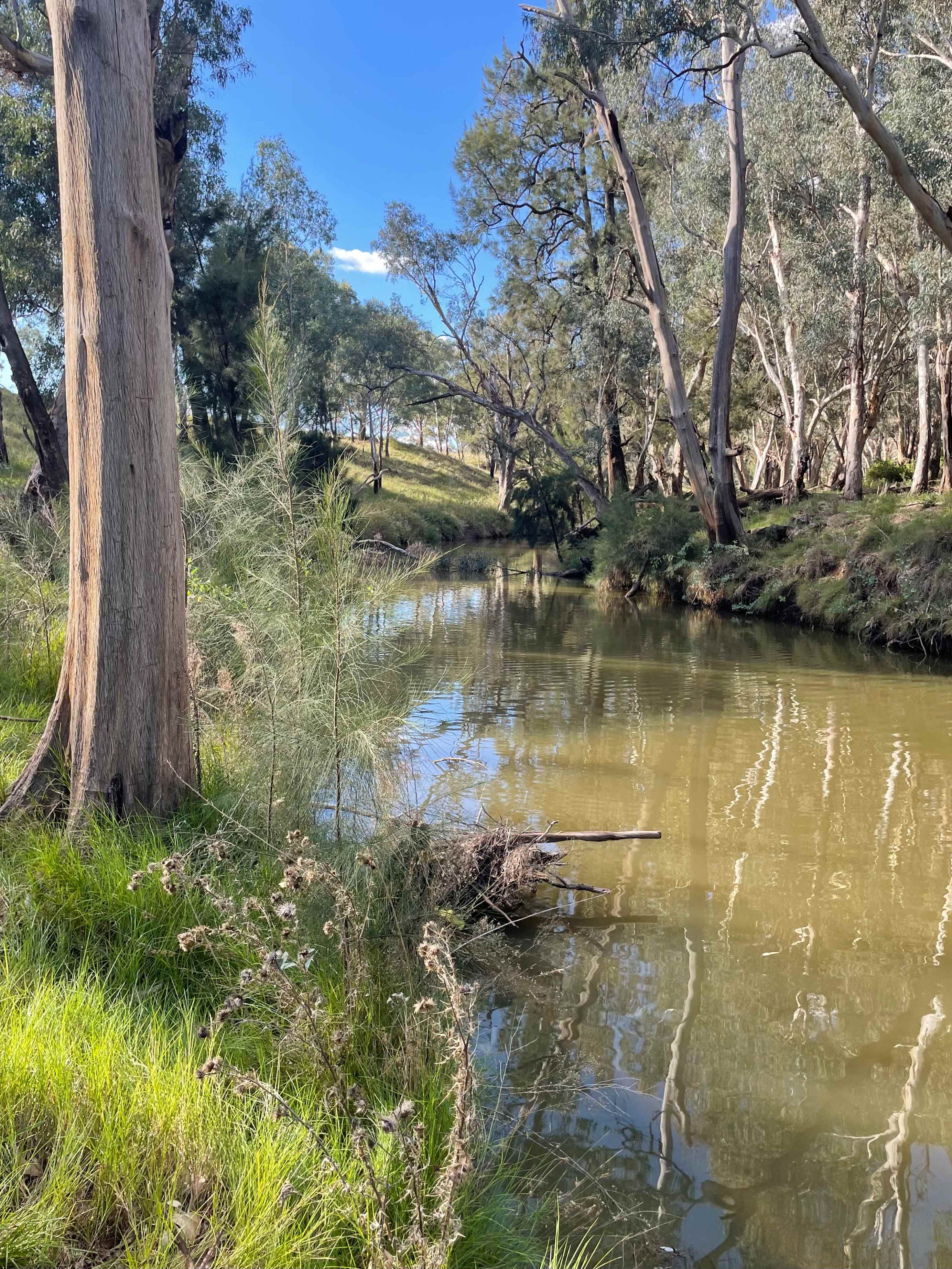 Cadagi Farm Stay in Central West NSW