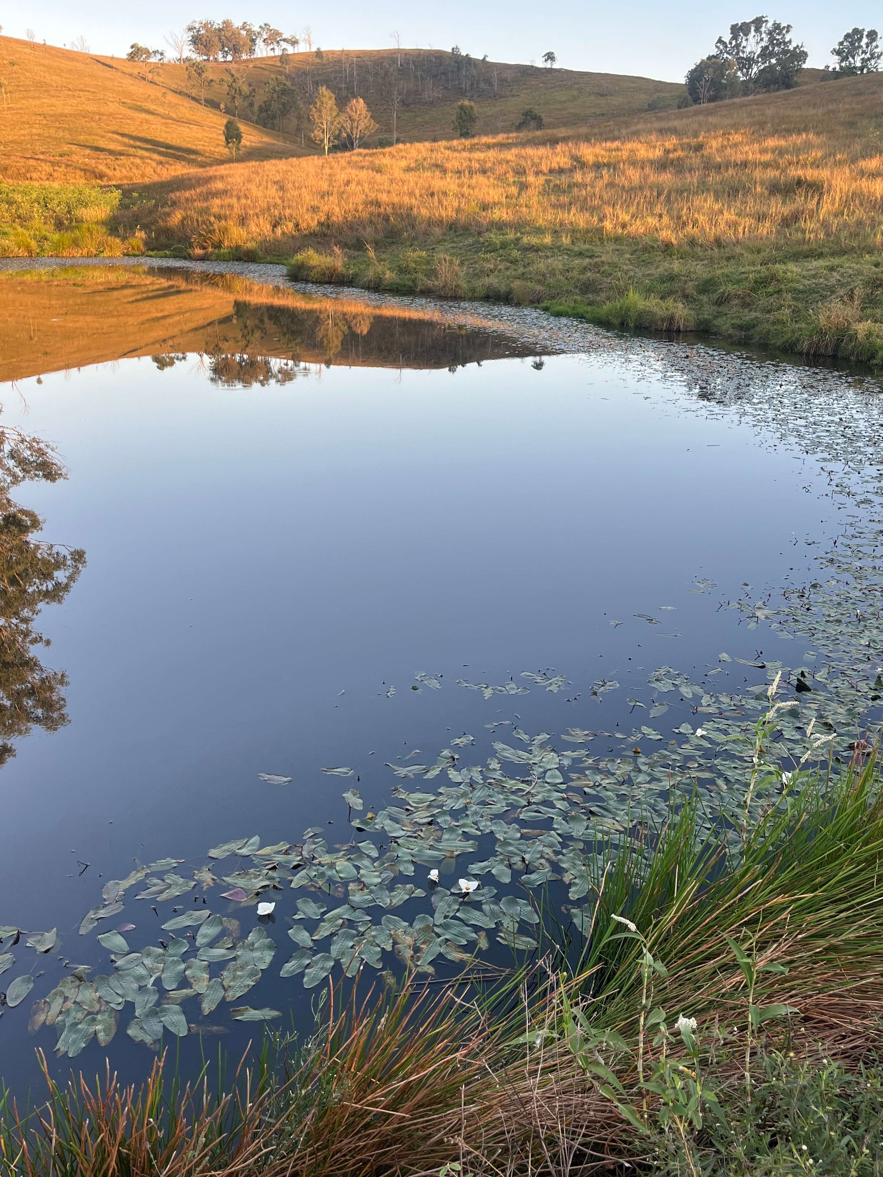 Juburra Country Camping
