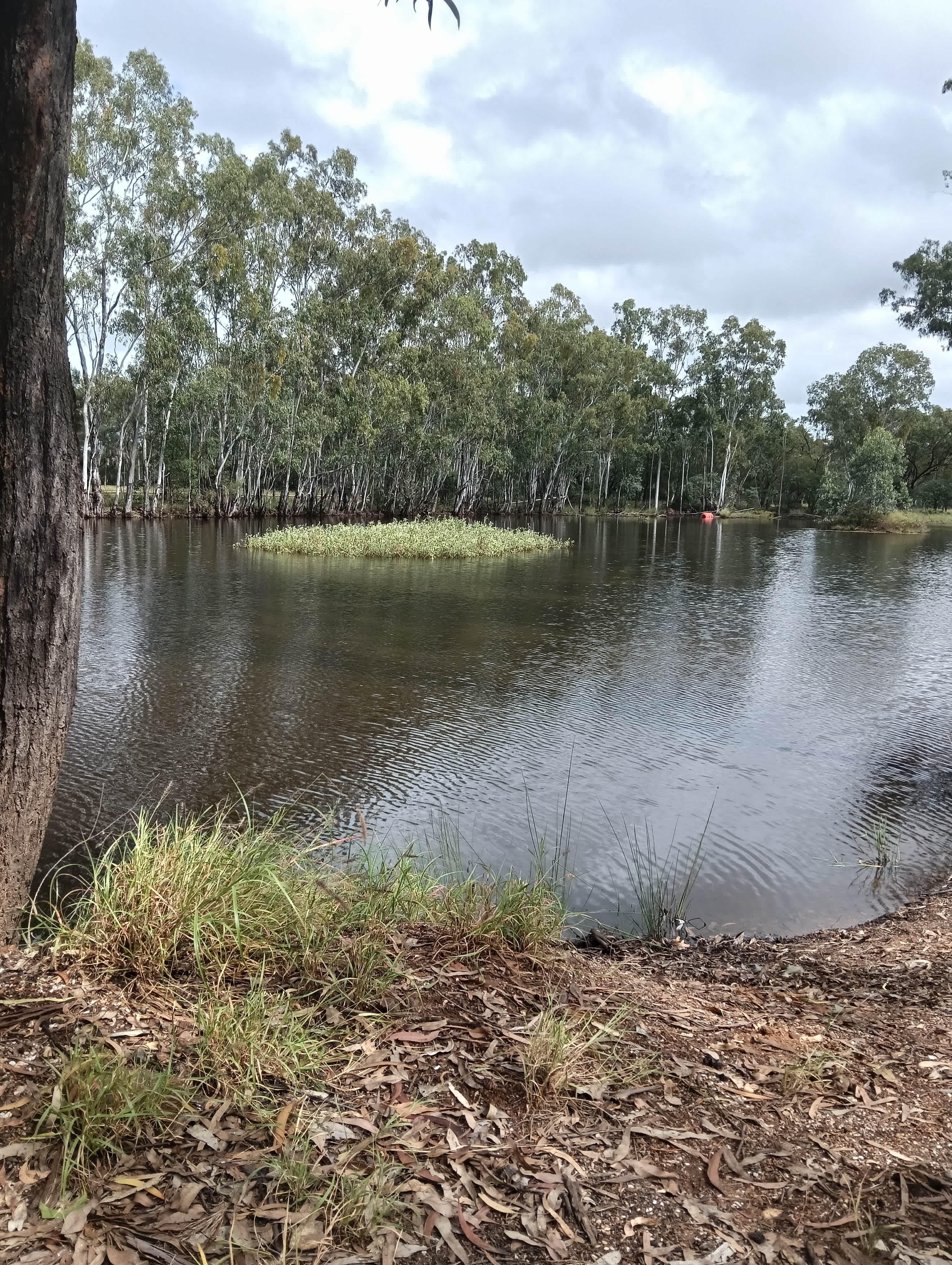 The view from camp 3