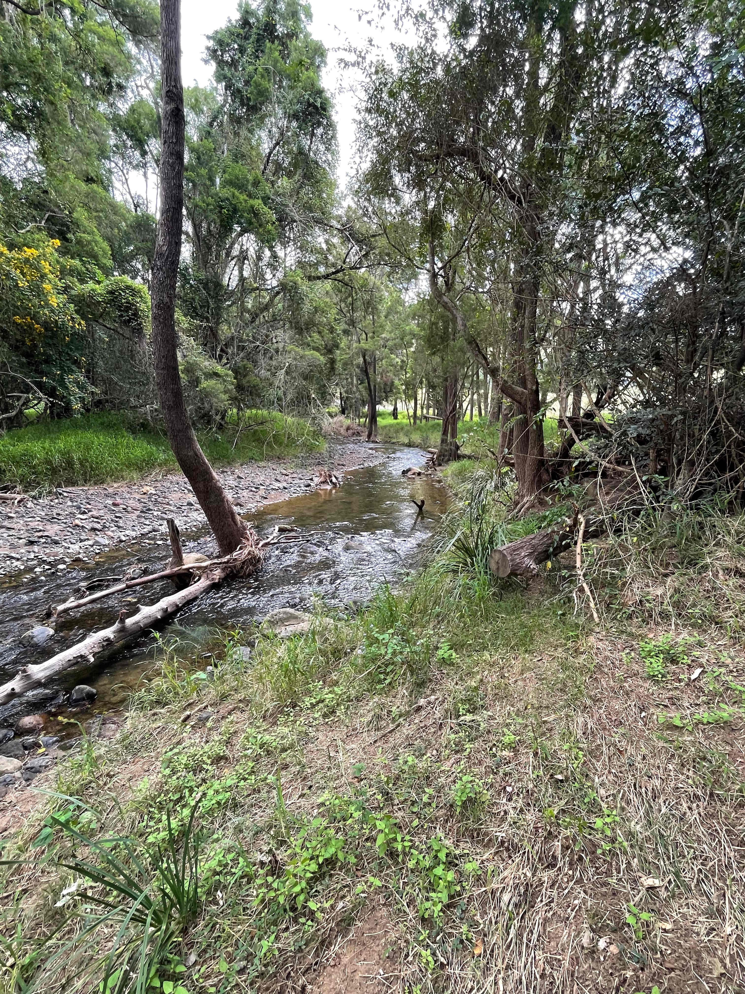 Bindarah Downs