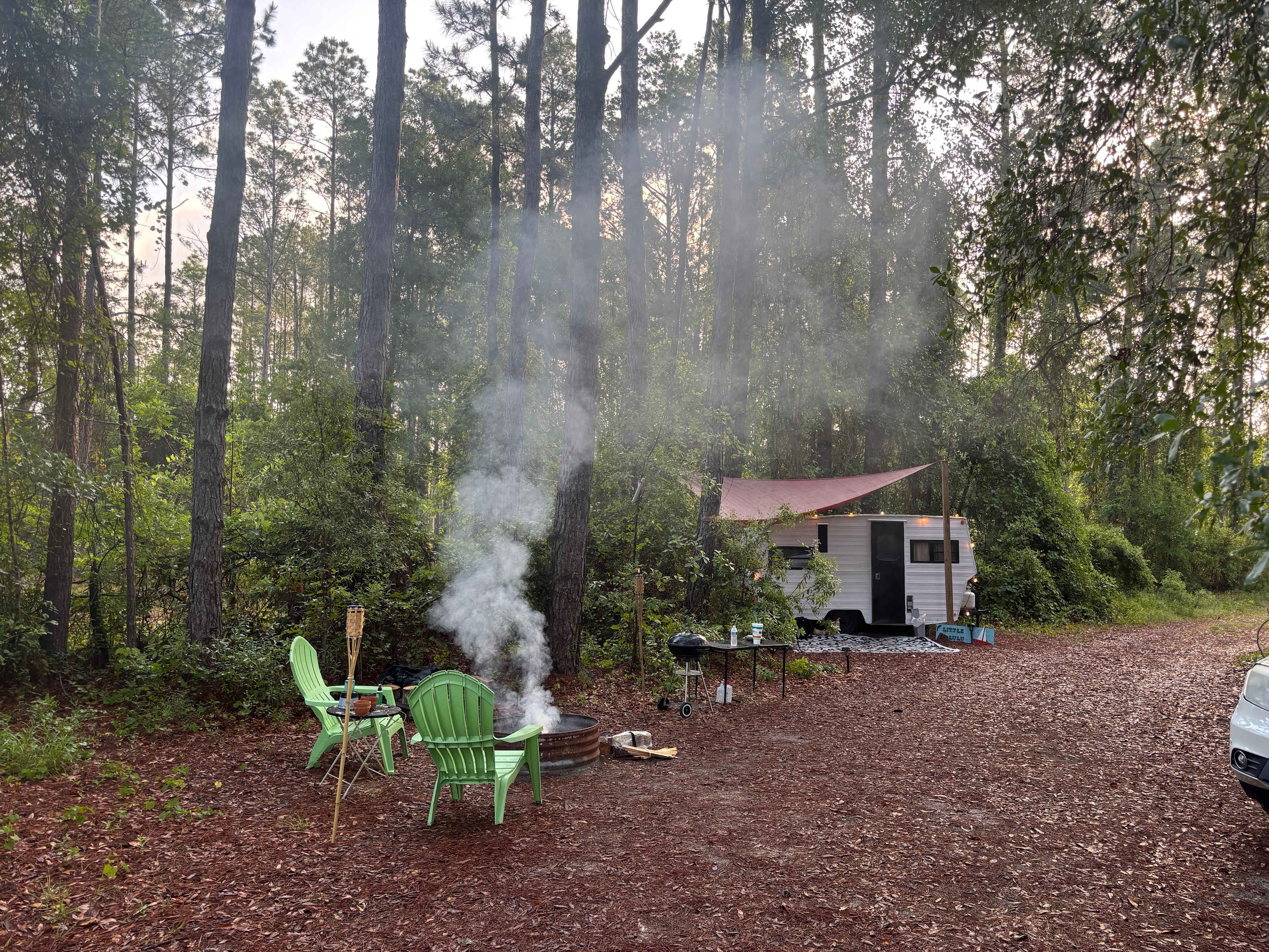 Serene Forested Blueberry Farm