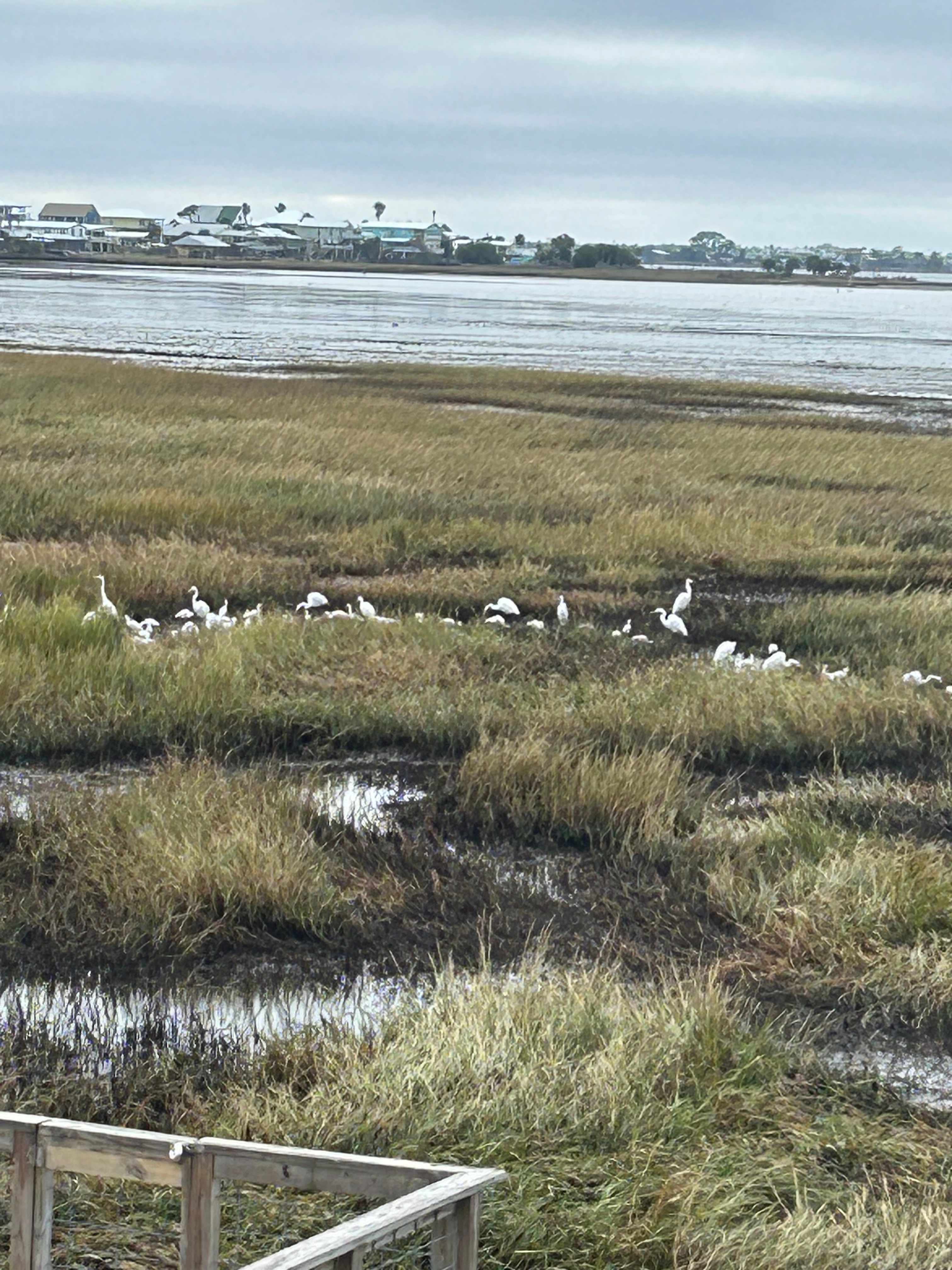 Gulf Coast RV Site