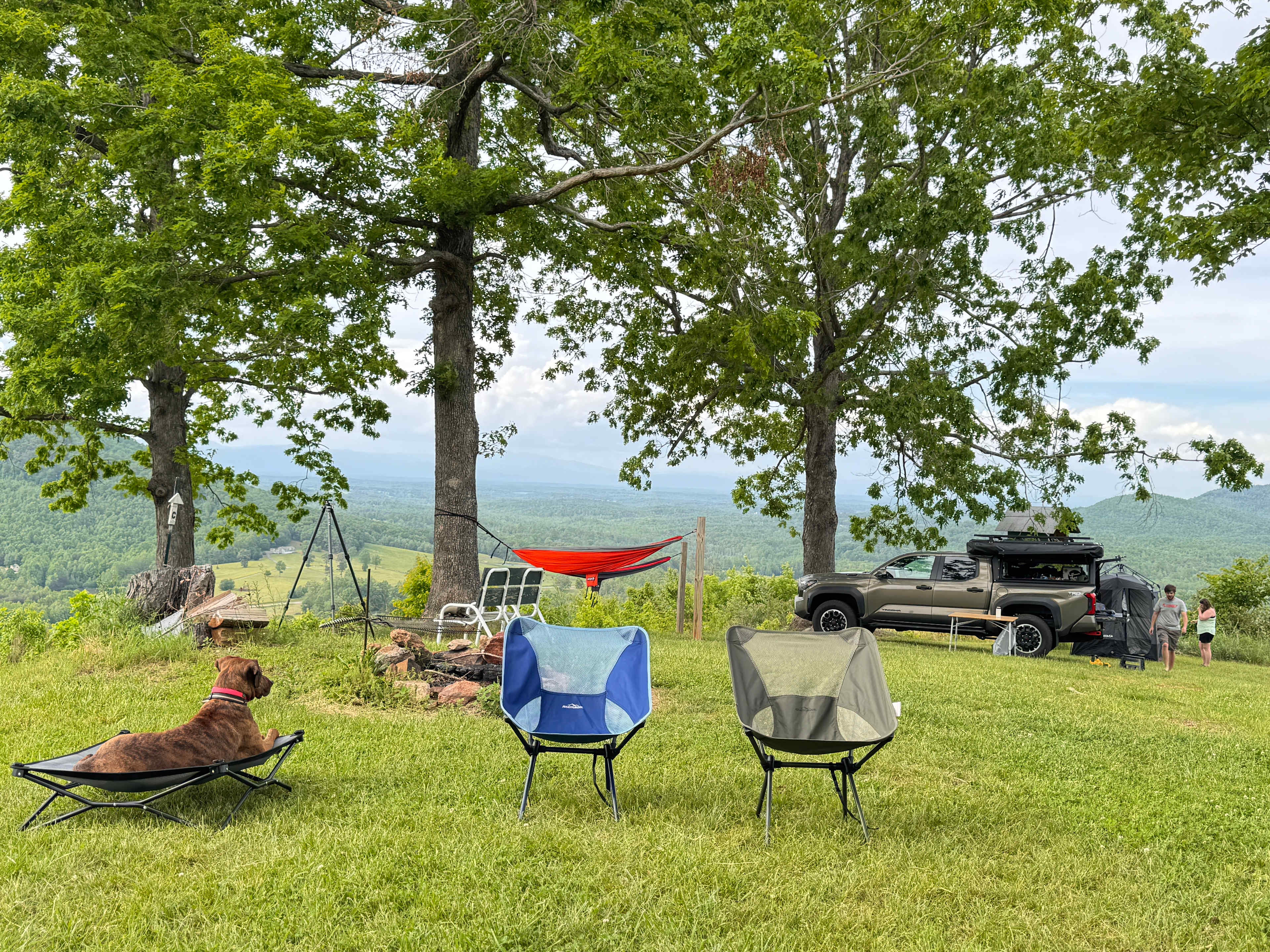 Bolin Knob Meadows