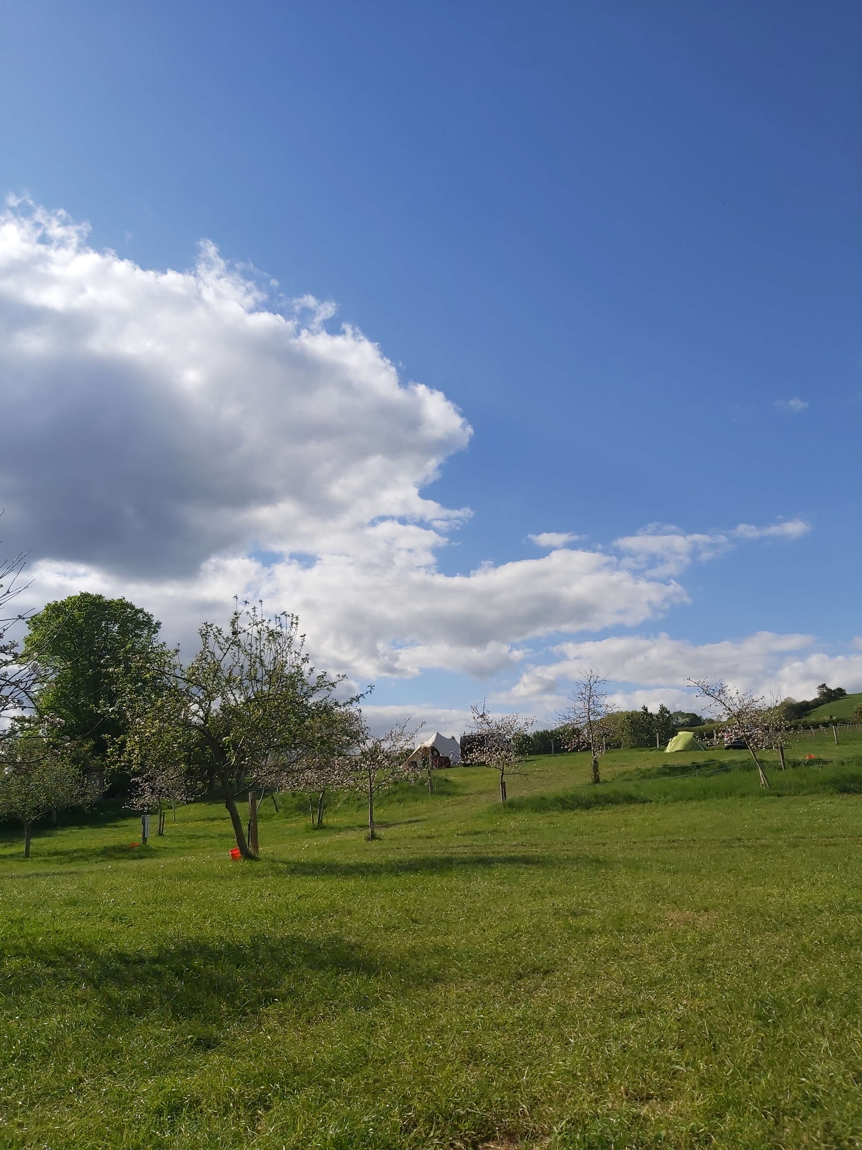 Bredy Farm