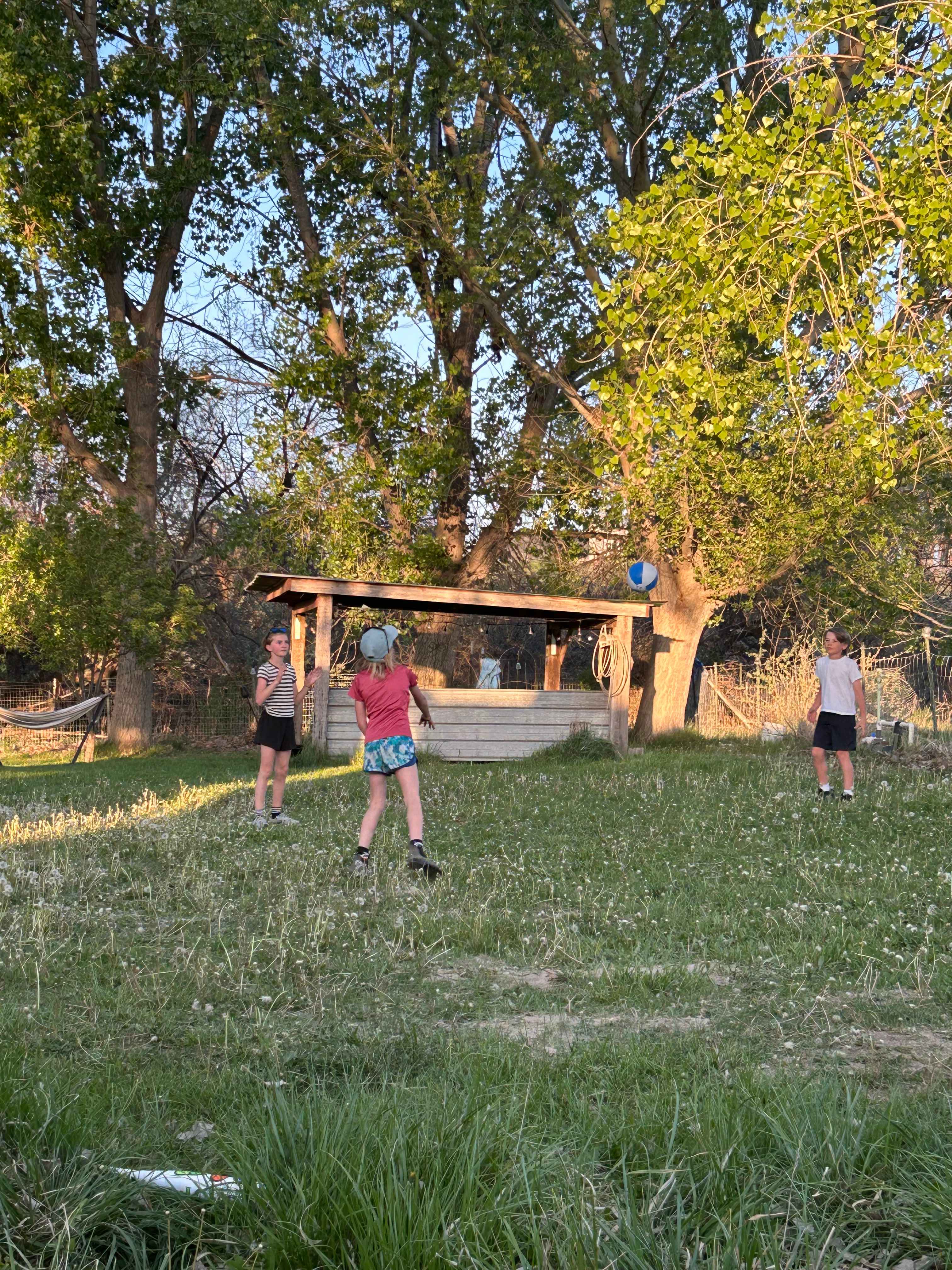 Micone Ranch