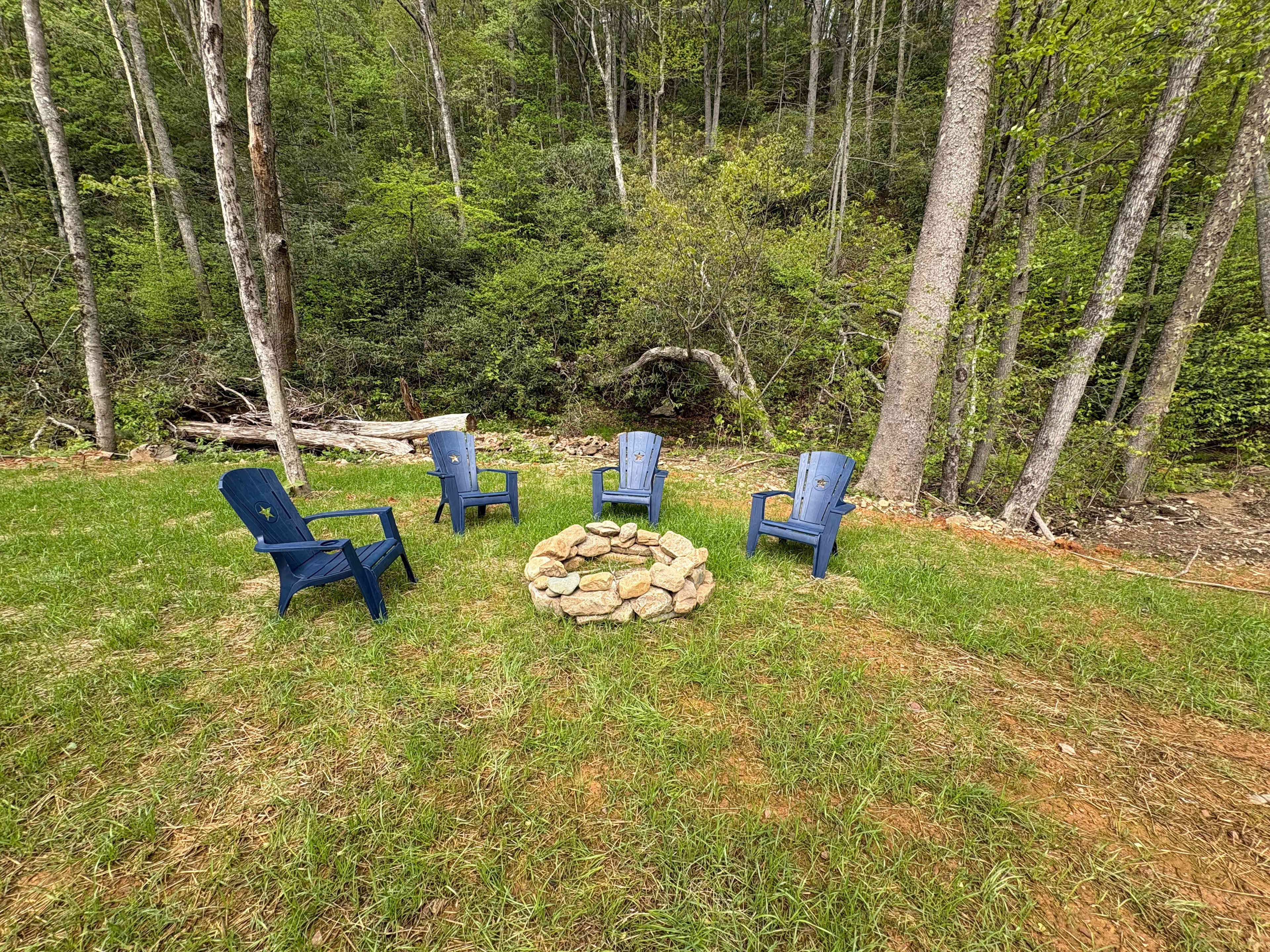 Camp Cressy Creek