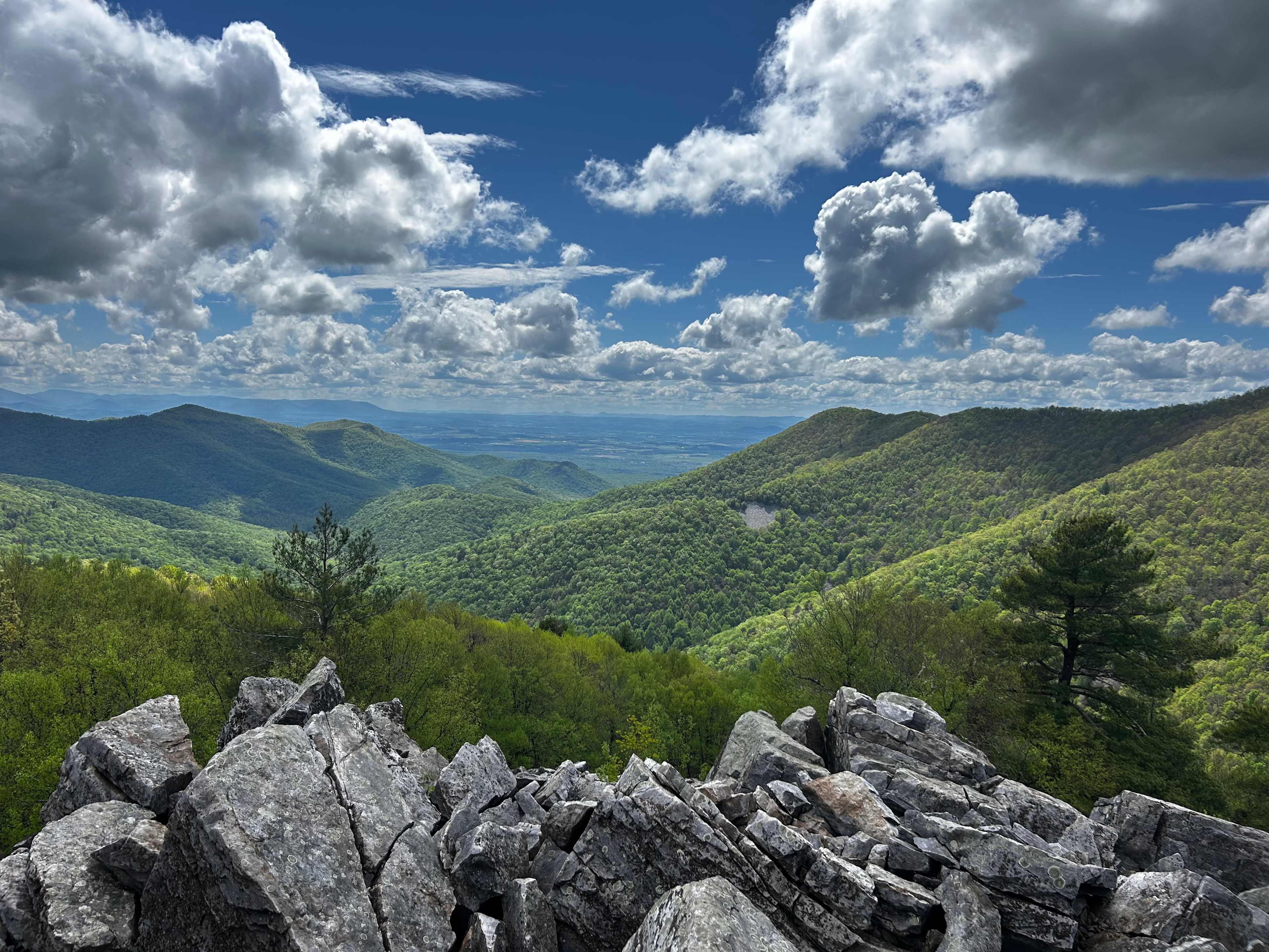 Great access to hikes nearby 