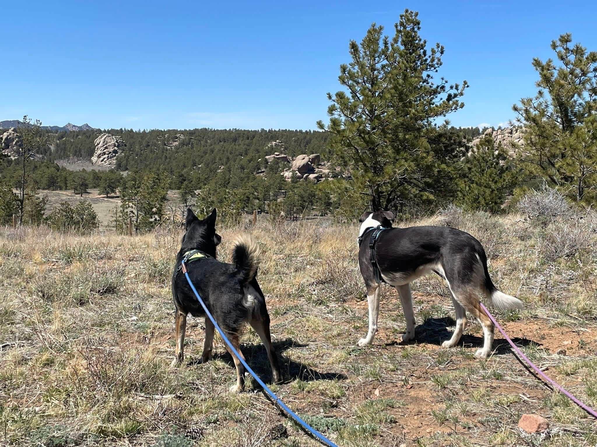 Buford Canyon