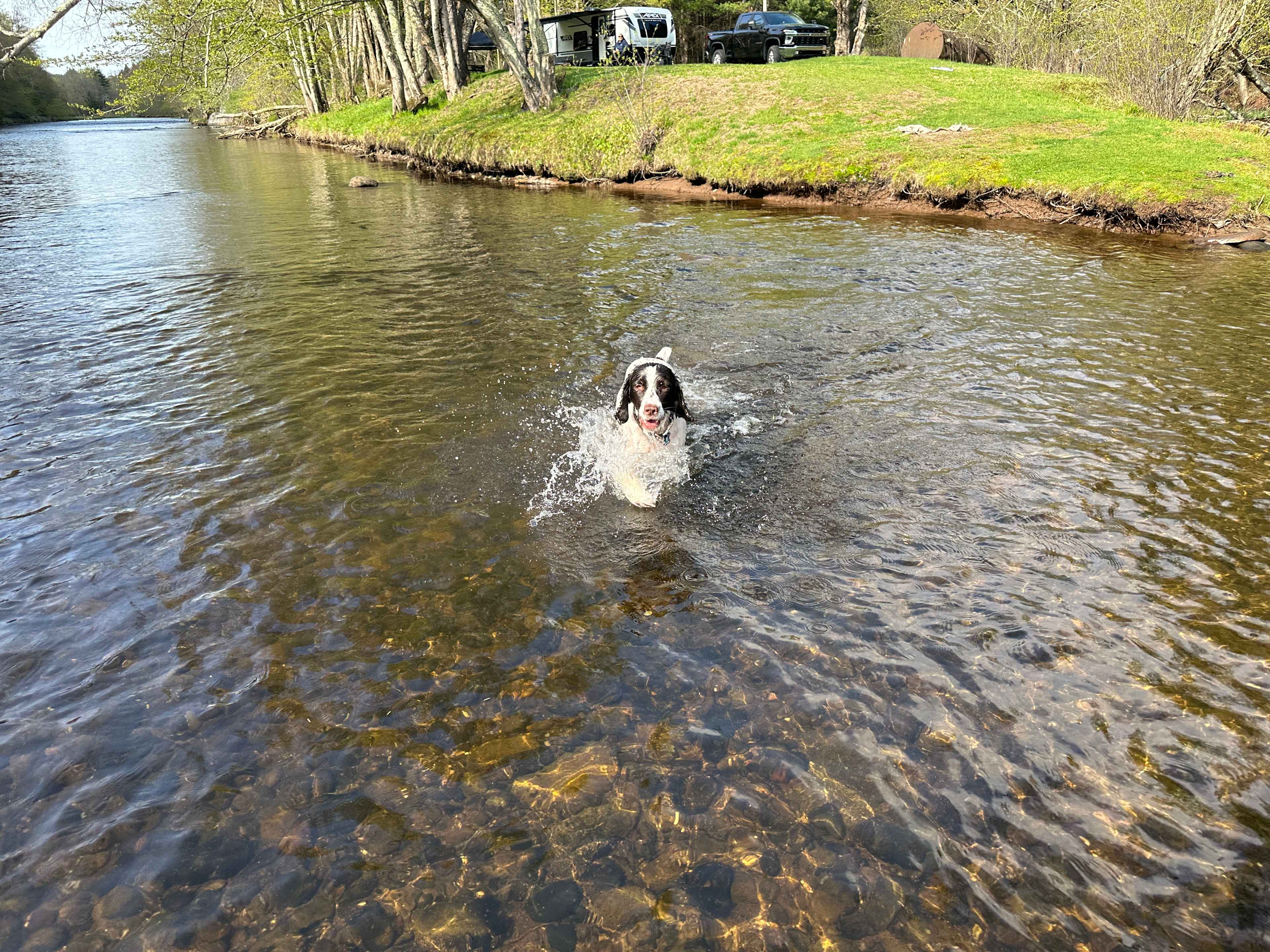 The Neversink River Isle