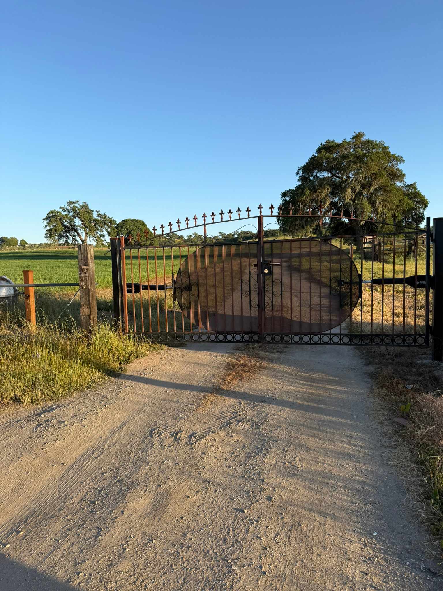 Picture of the site