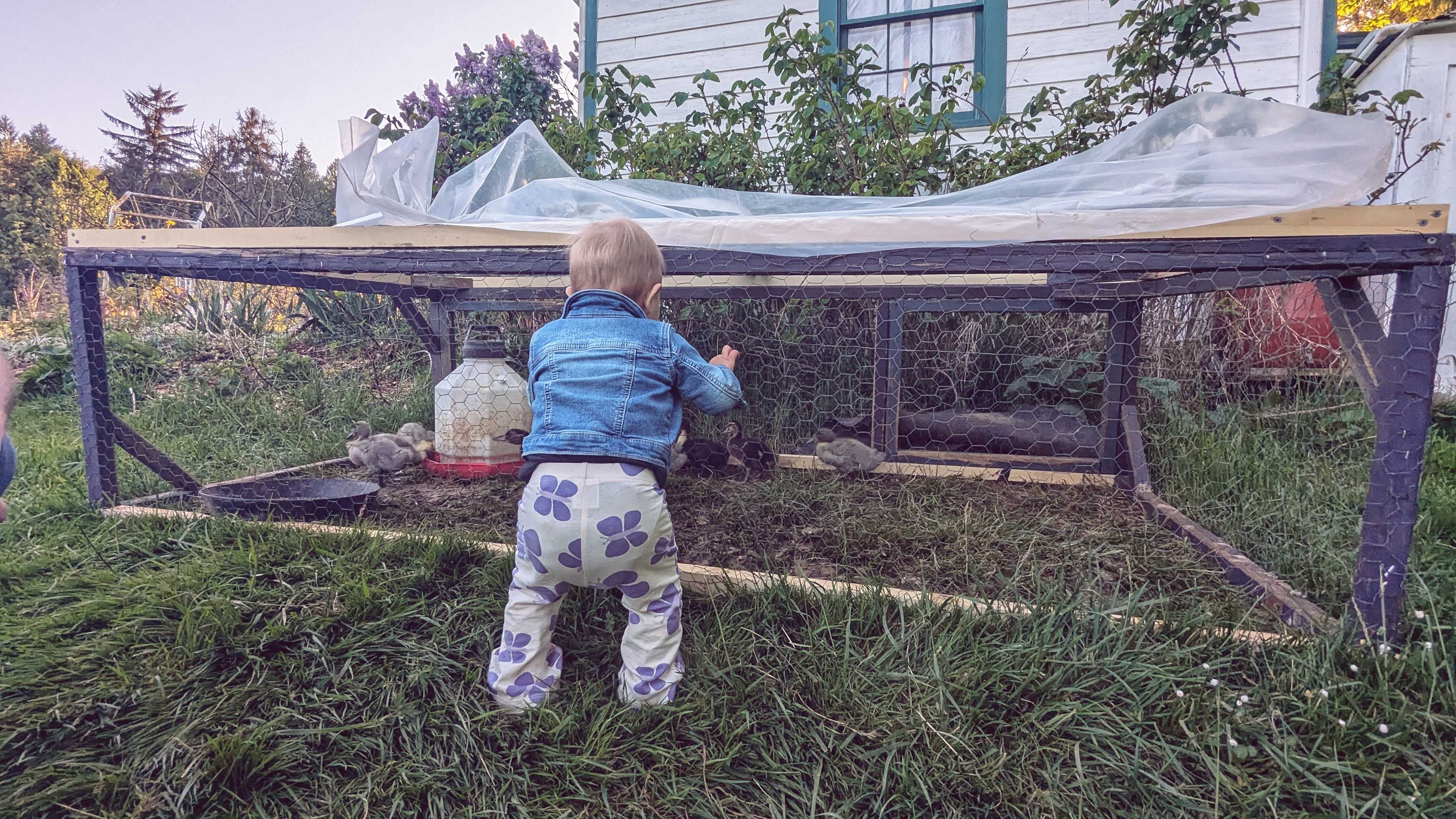 Compass Rose Farms