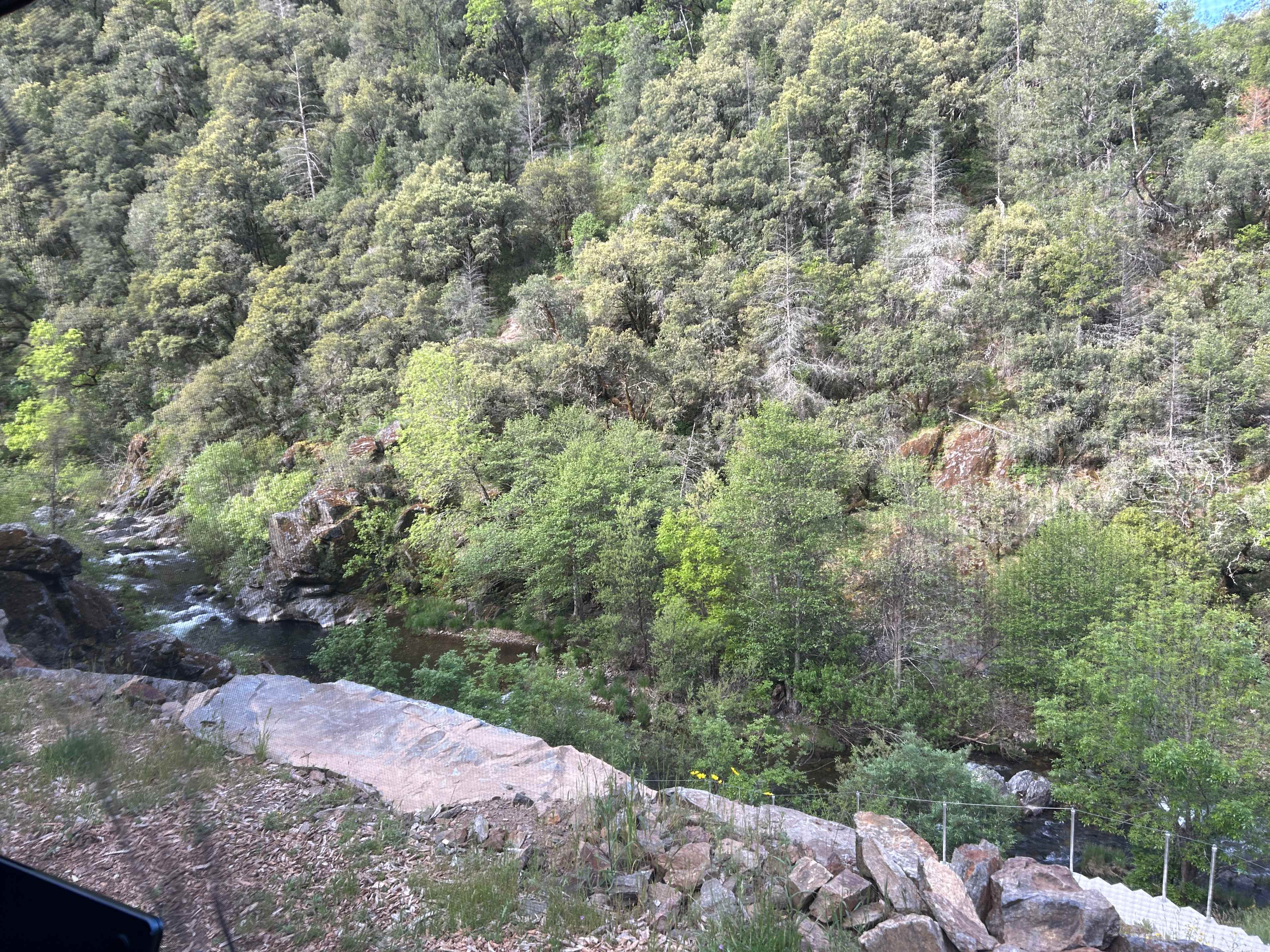 Strange Ranch - River and Gold