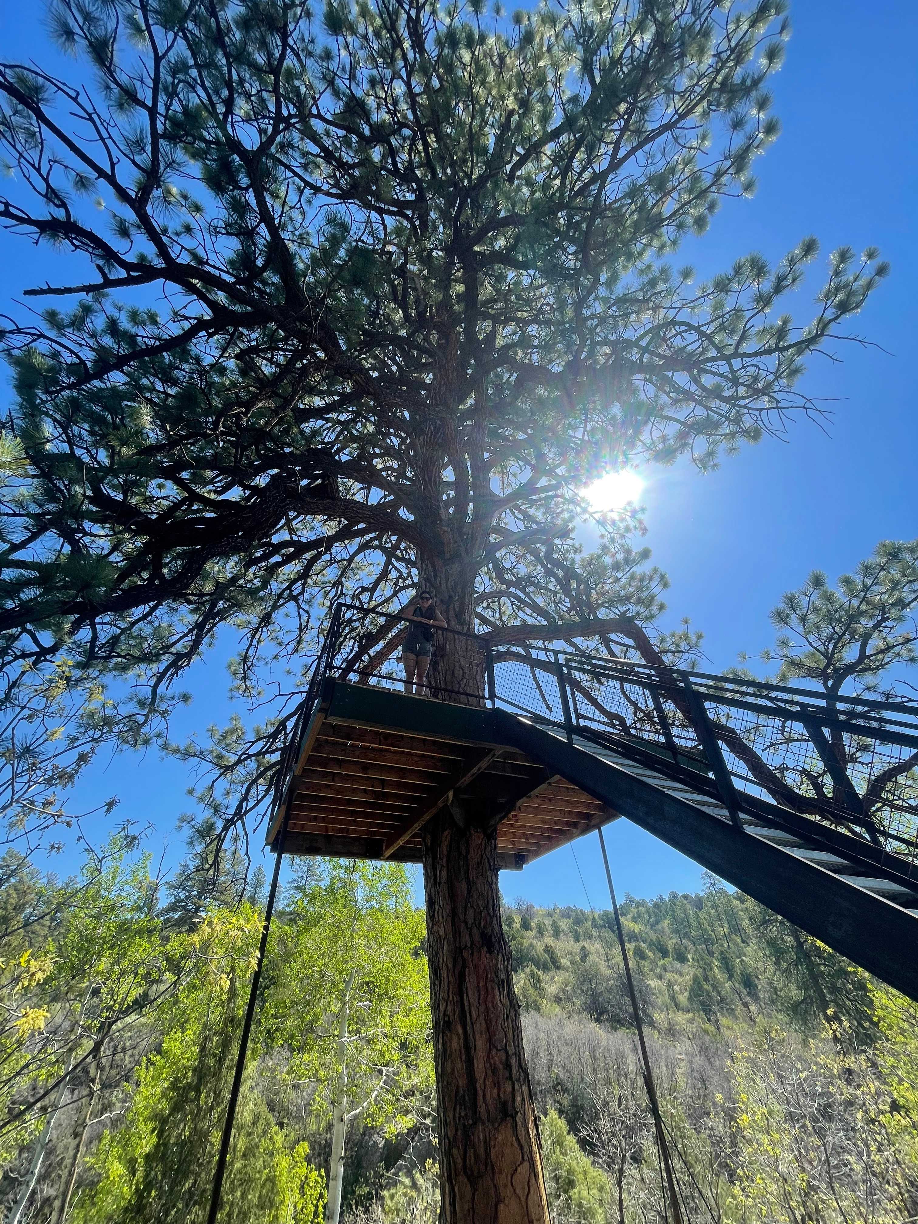 Wolf Springs Ranch Retreat