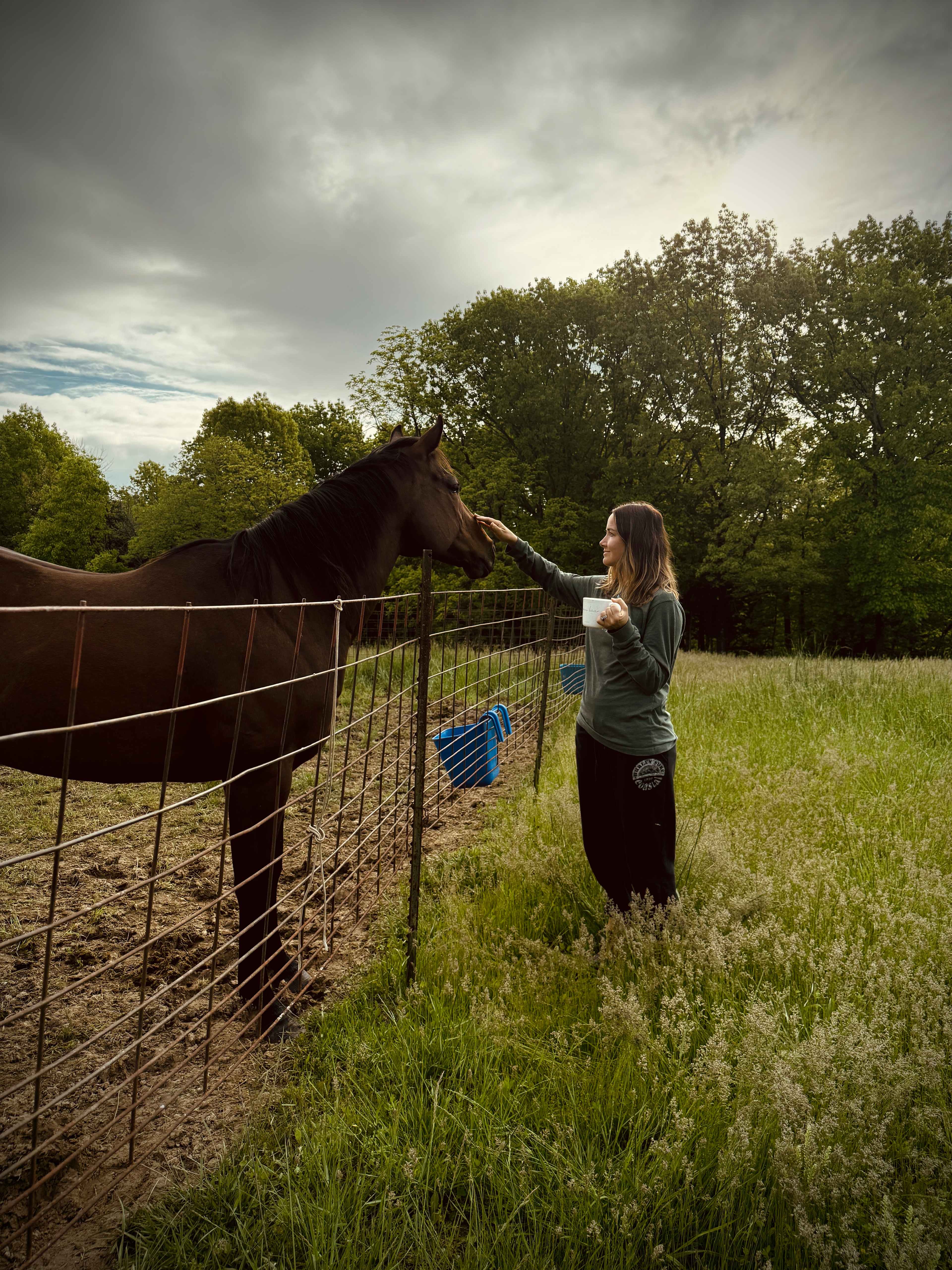 Selby Farm Horse Retirement