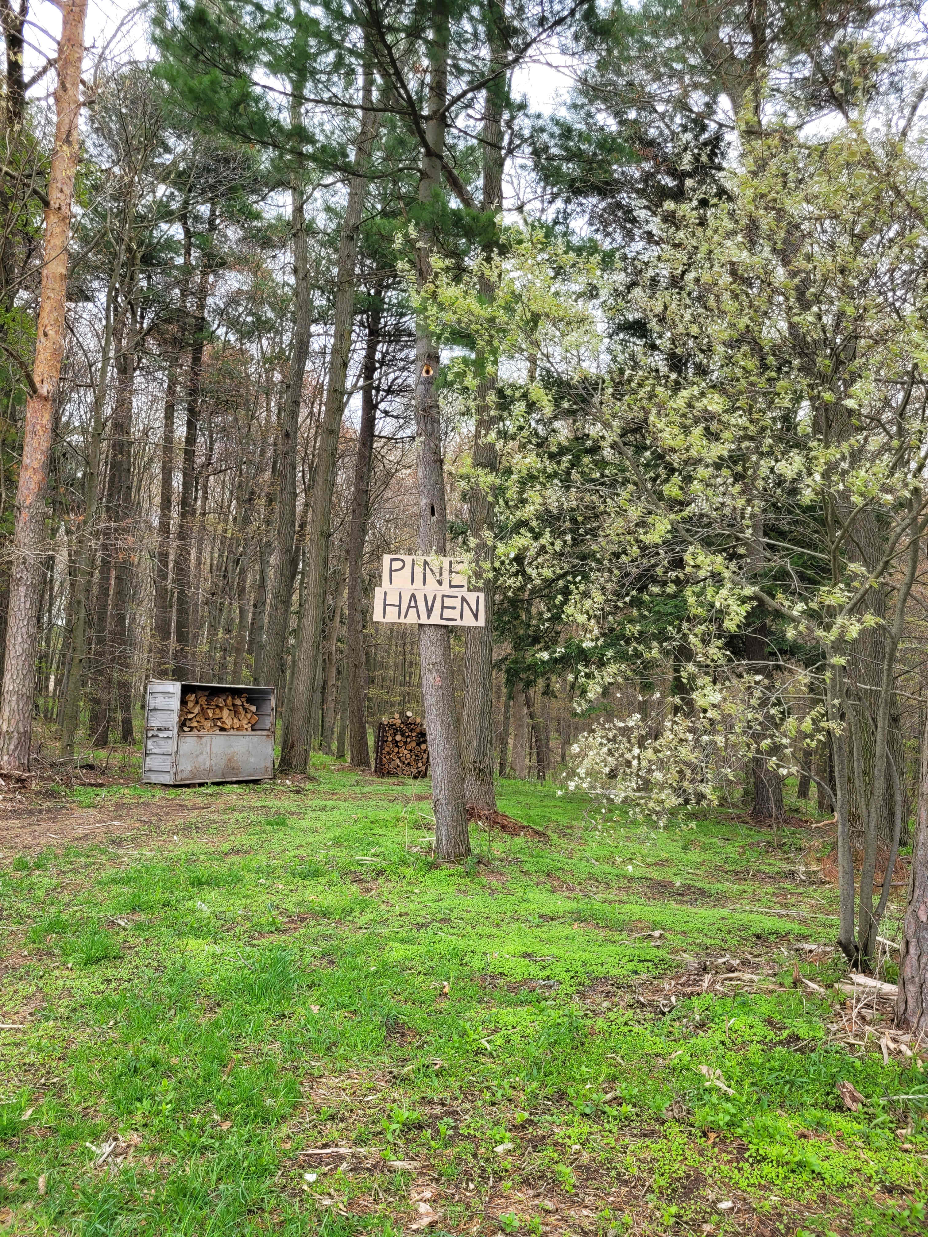 Picture of the site