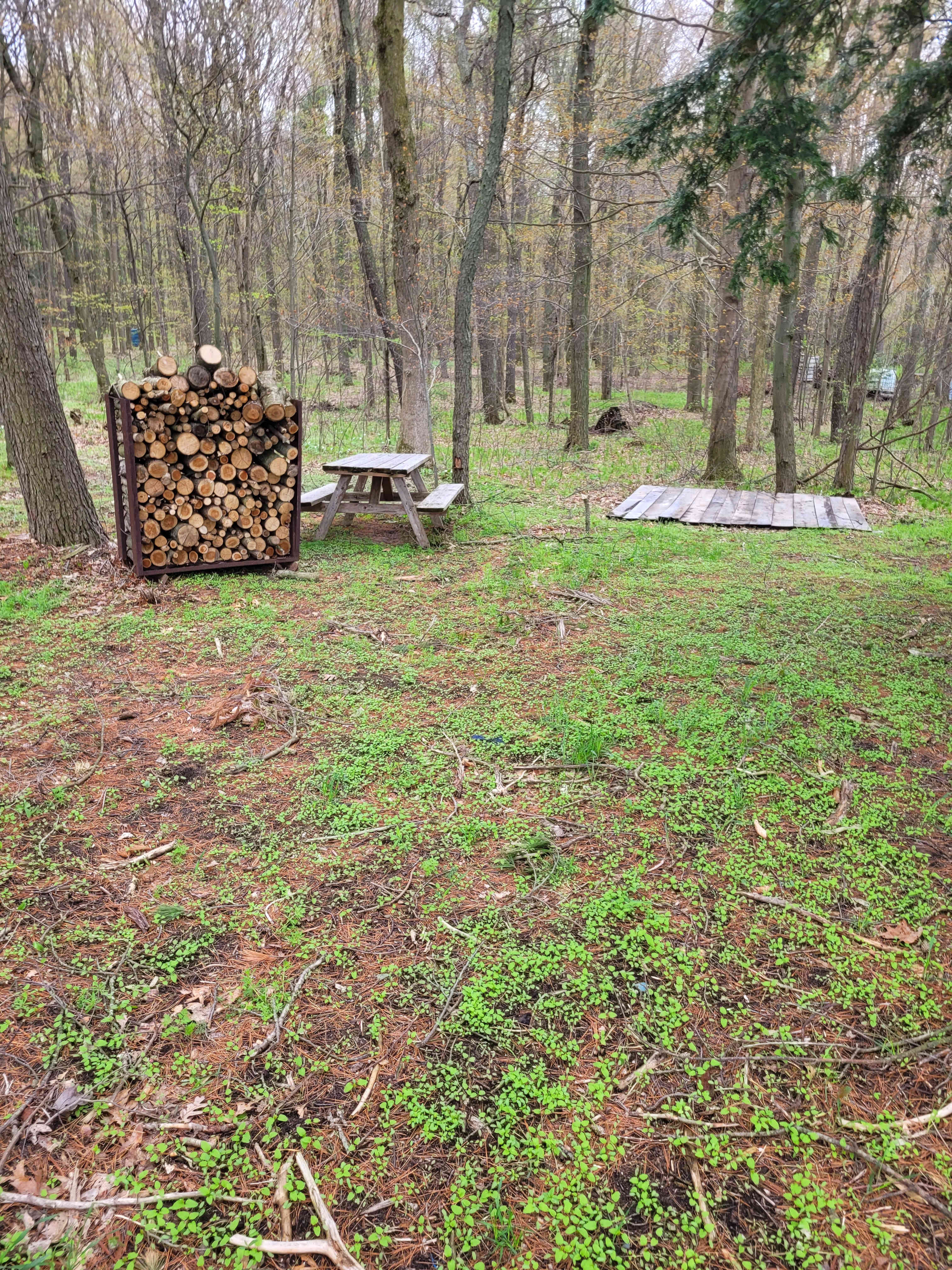 Picture of the site