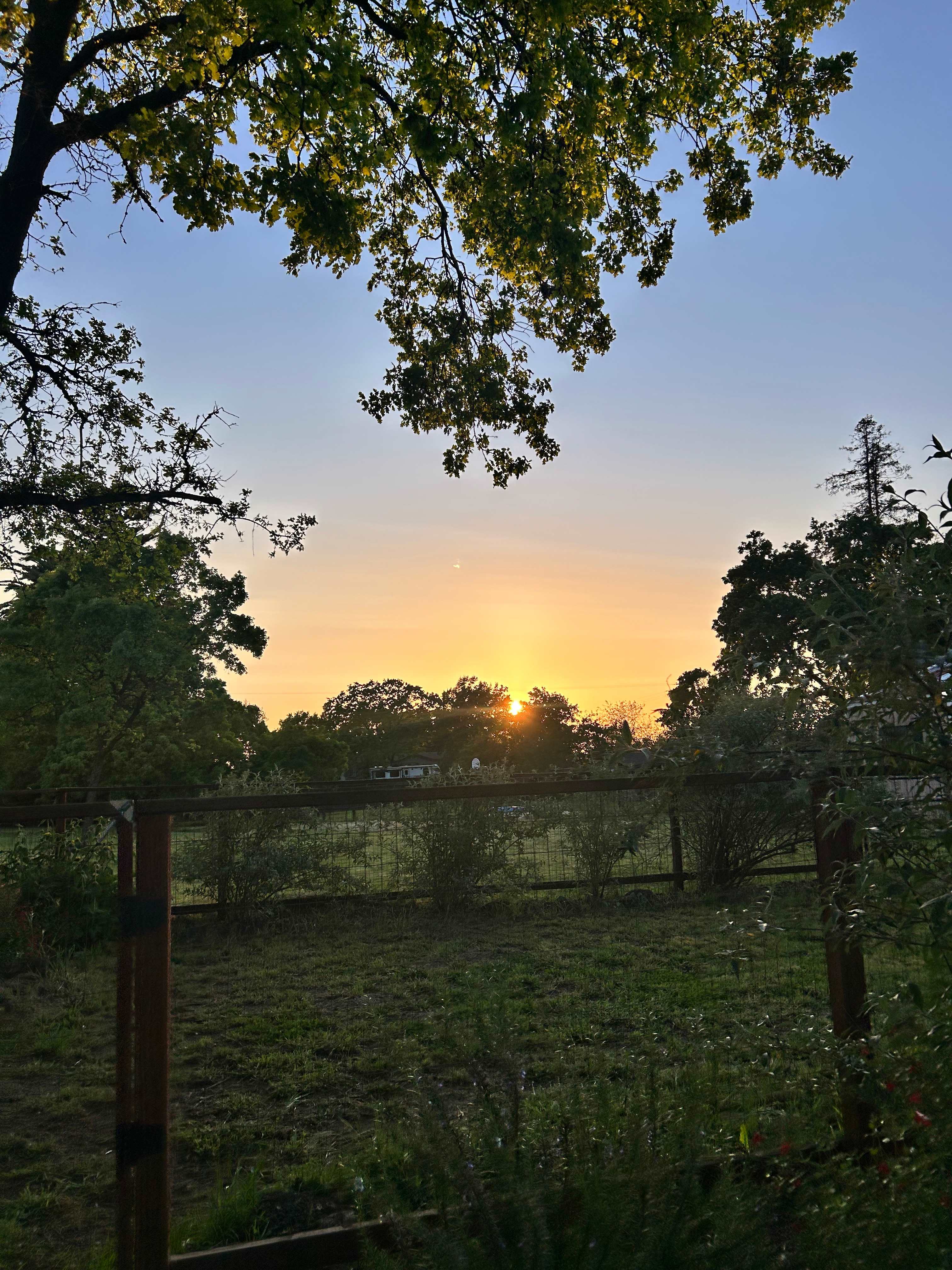 Wise Oak Farm