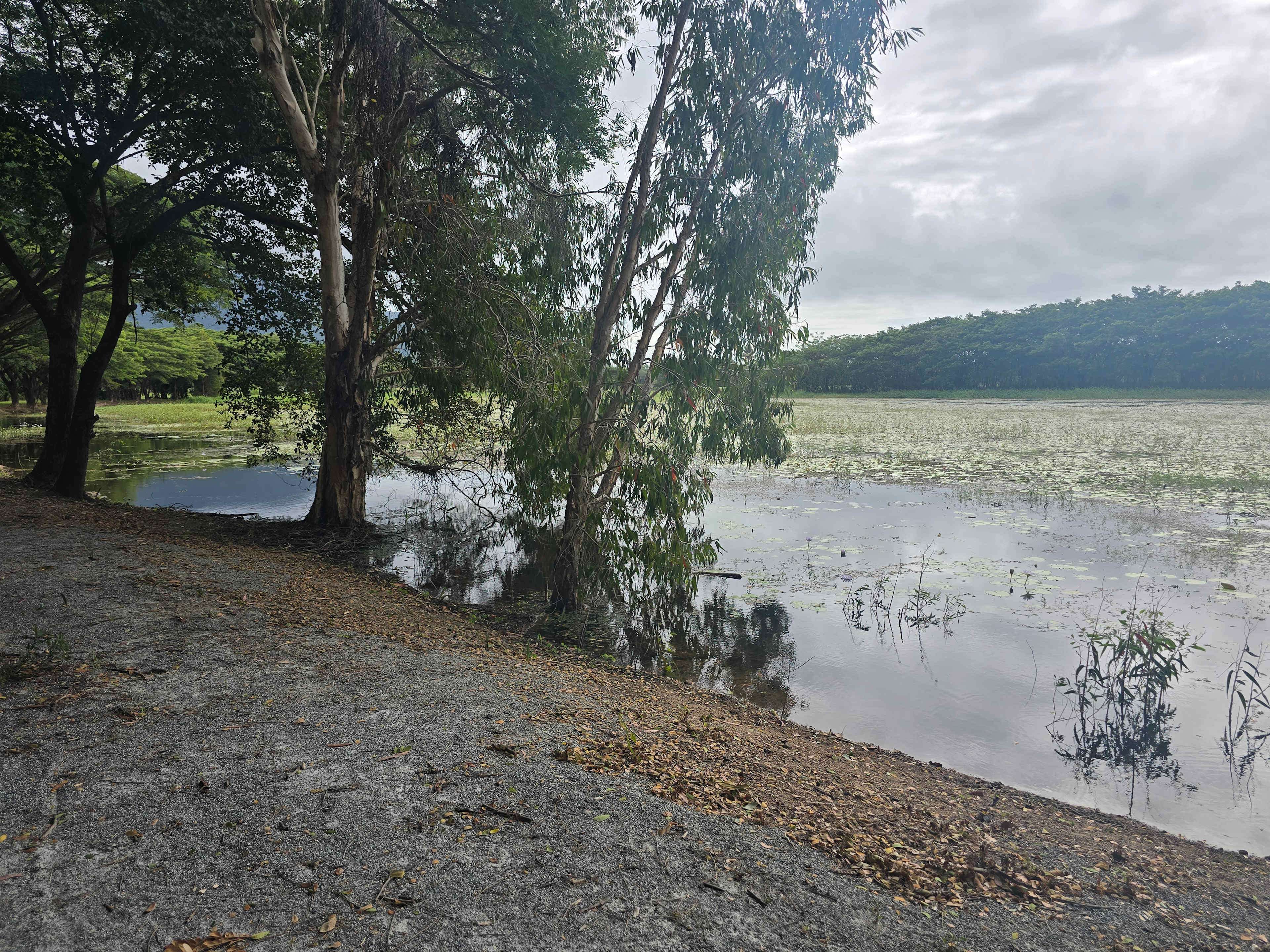 Mount Surround Campground