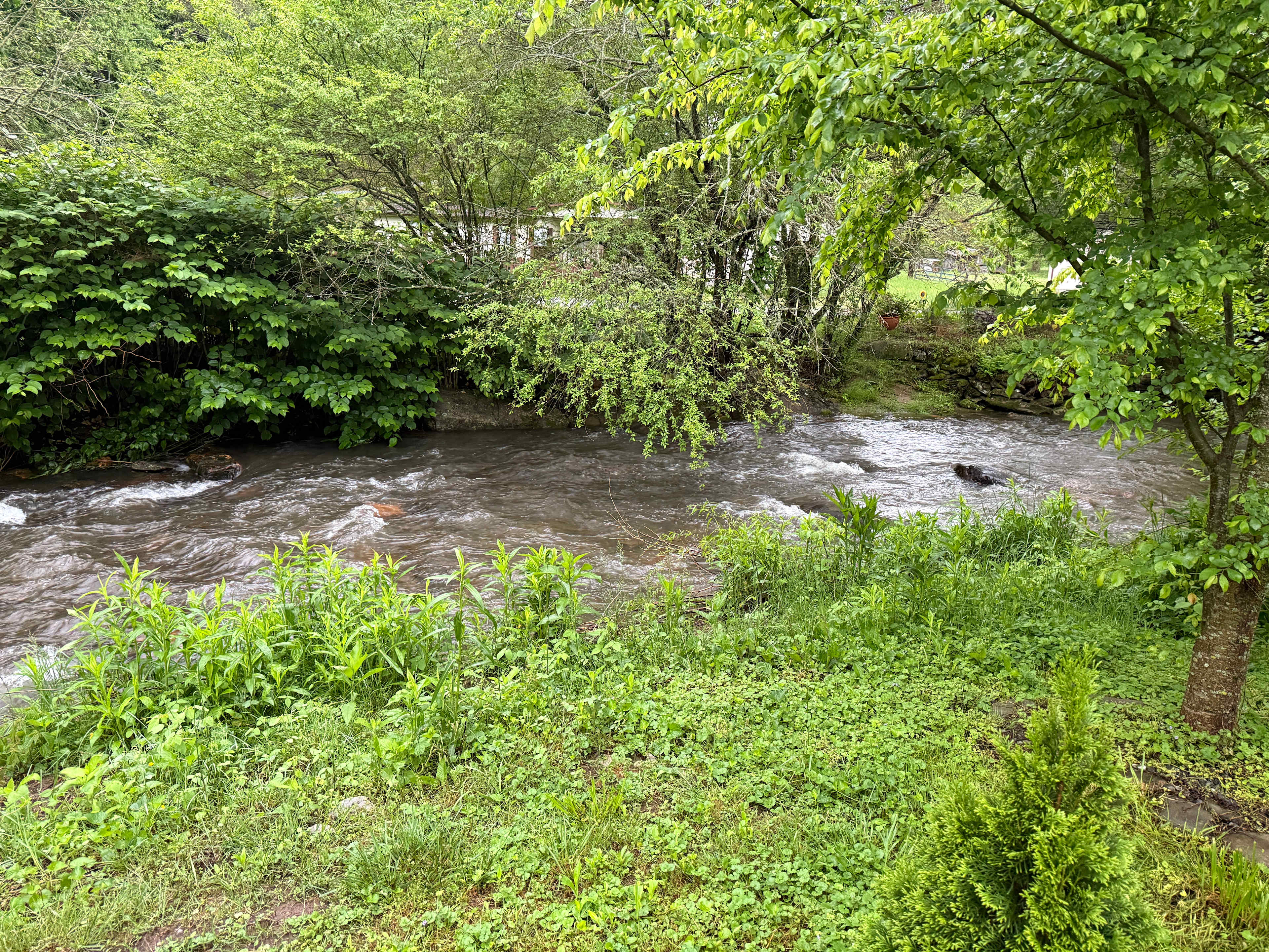 Conleys Creek Campground