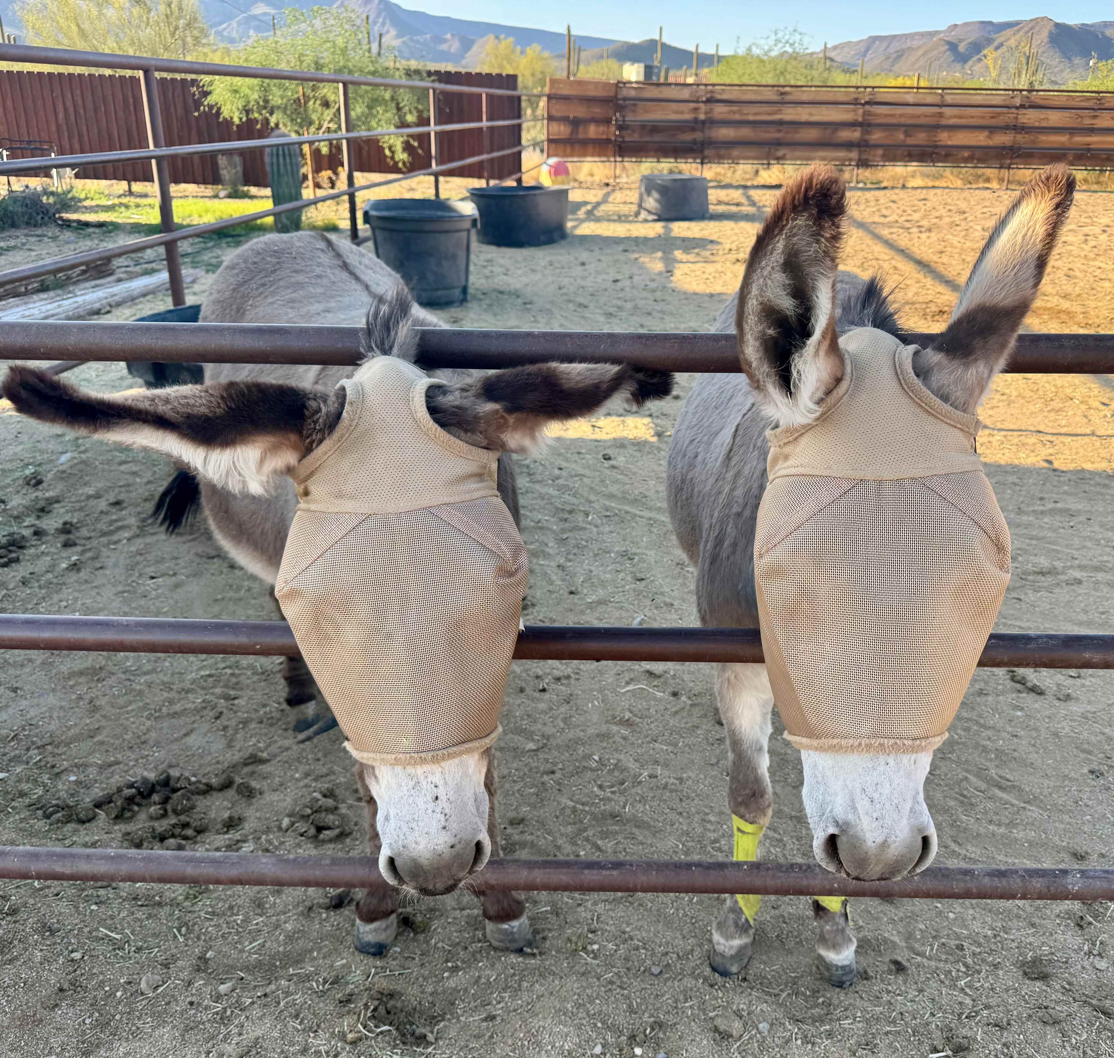Marguerita Ranch