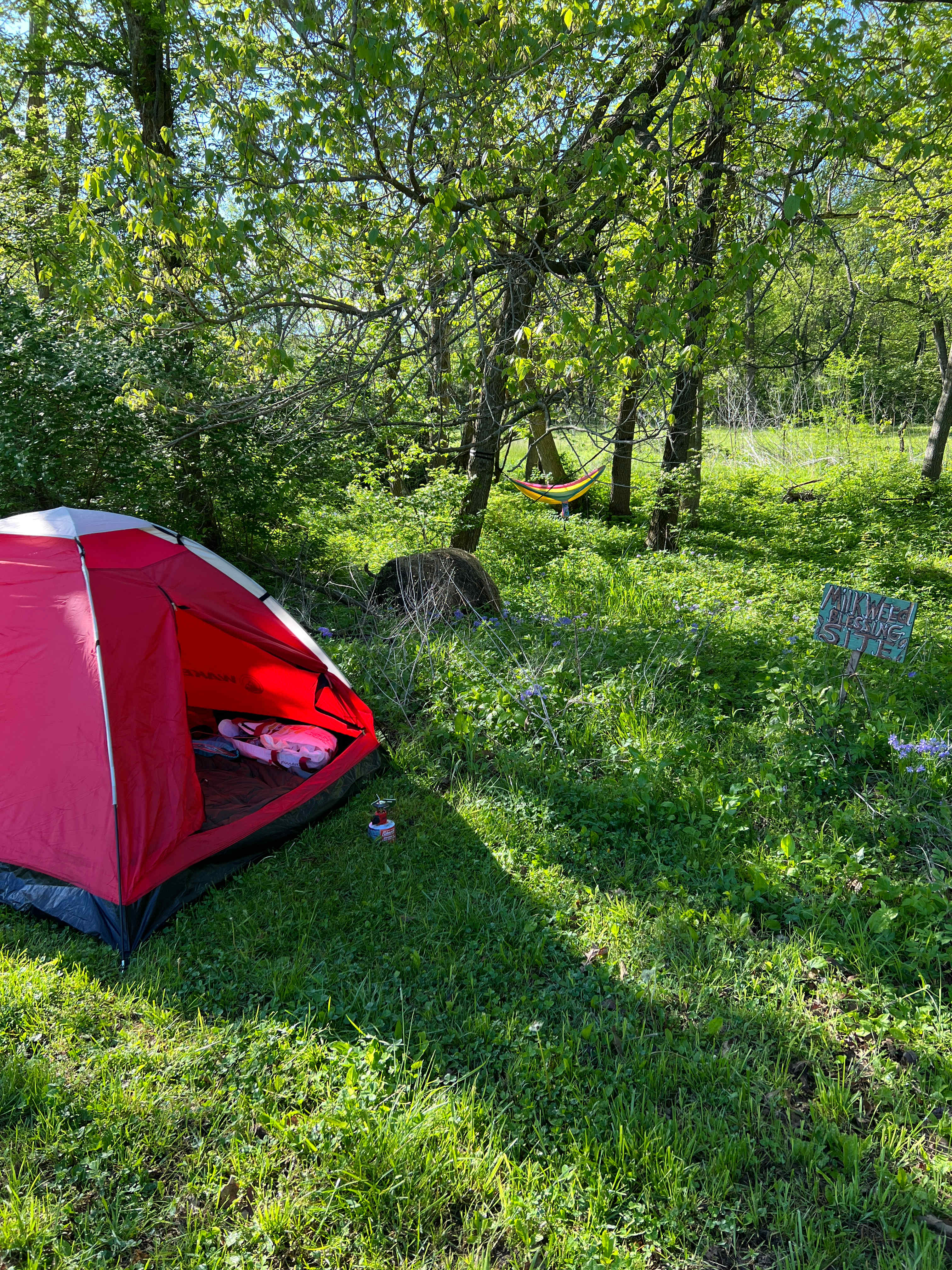 Southern most campsite in Freedom Field. Beautiful primitive site, very private.