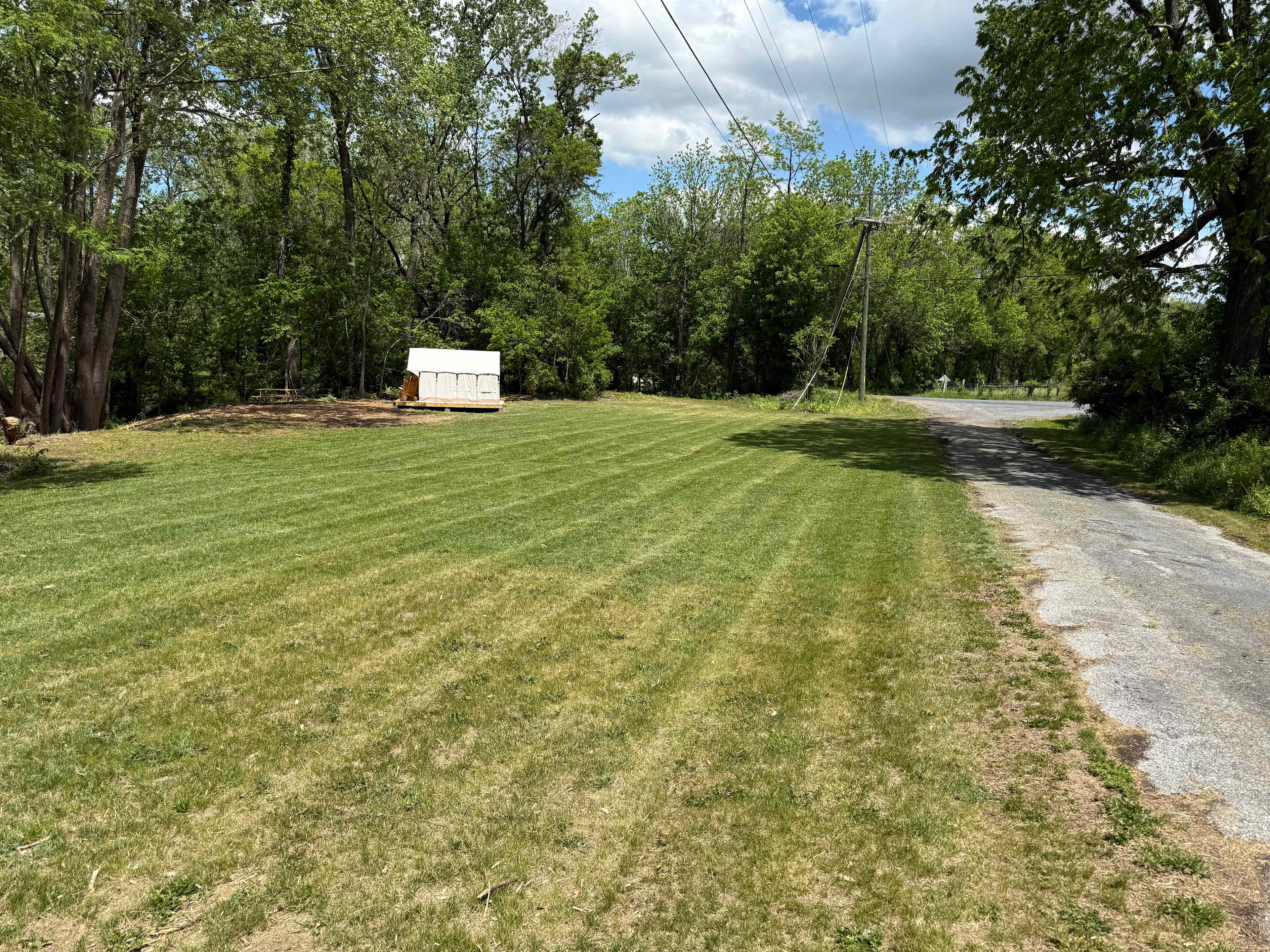 Picture of the site