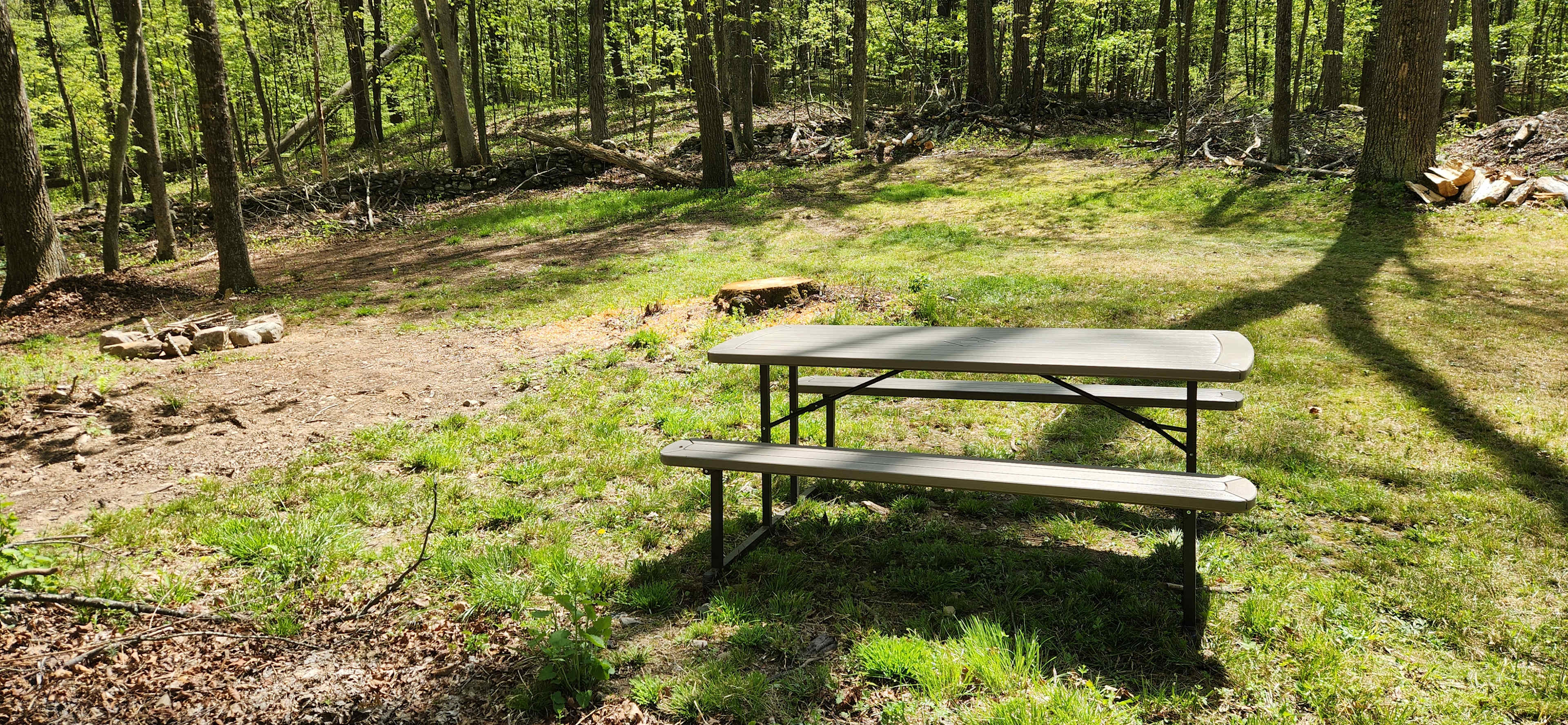 Peace And Quiet  in the Catskills