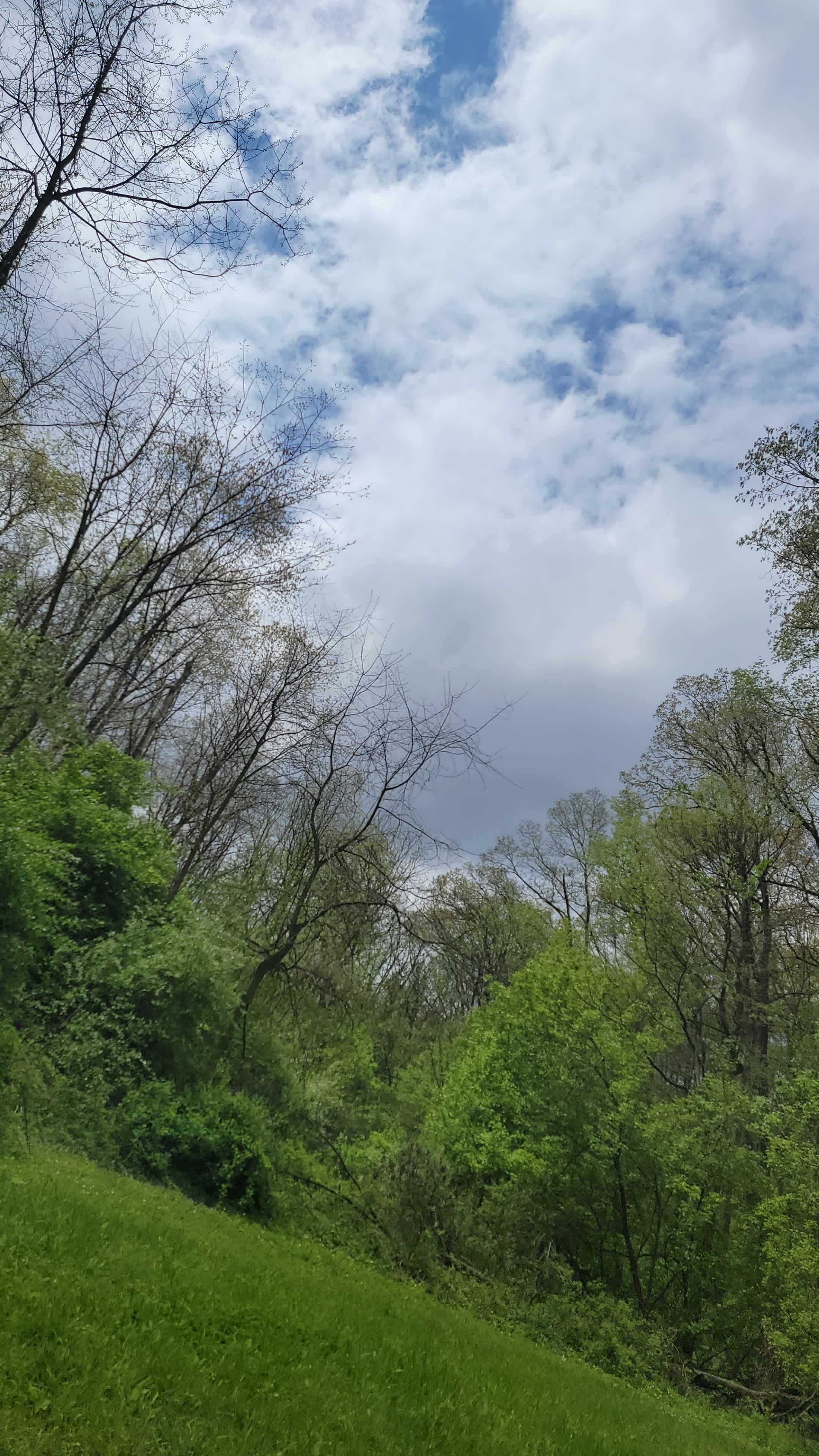 Walnut Valley Realm Campground