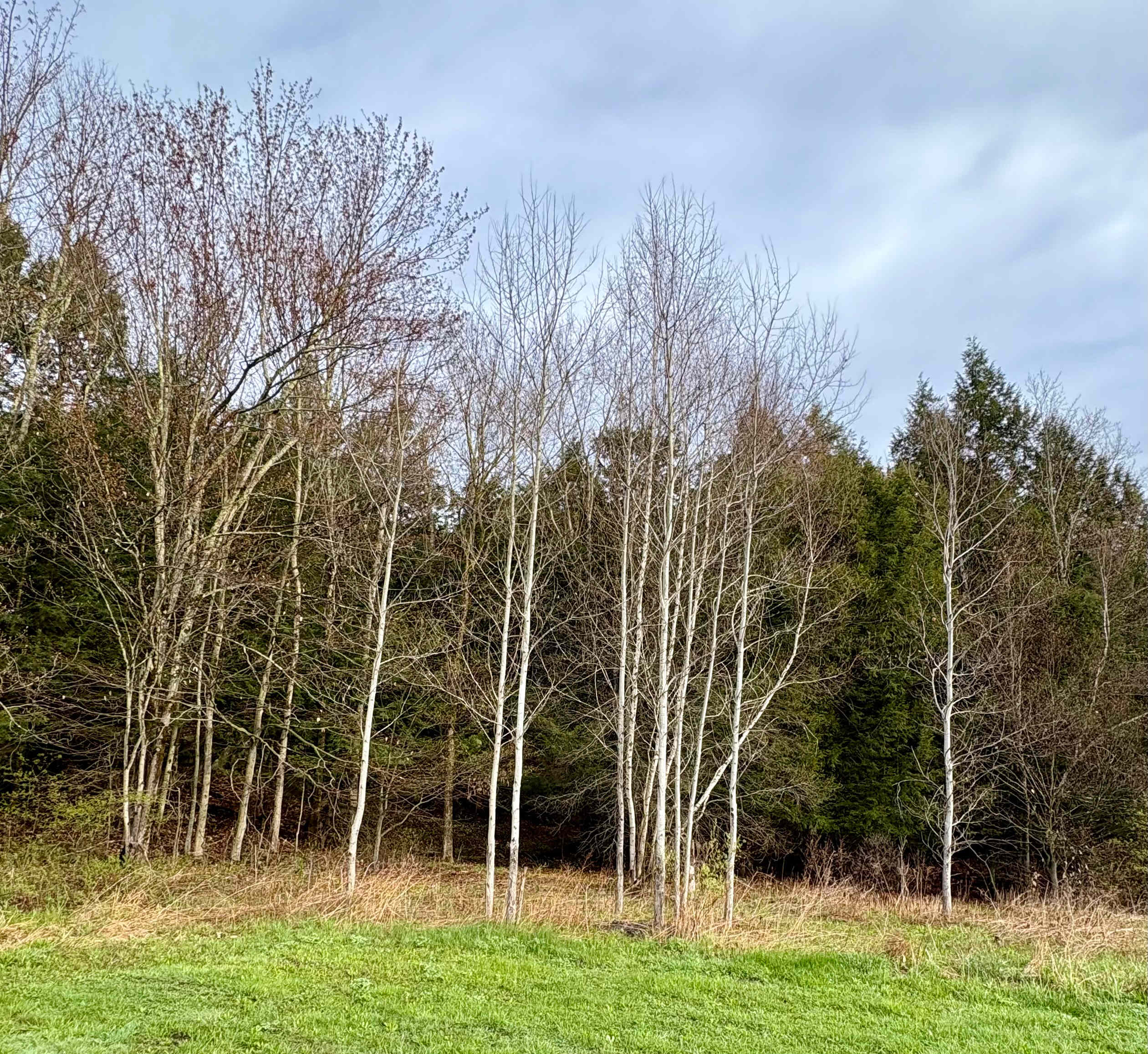 Harold's View Farm
